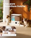 oneisall Distributore automatico per gatti e acqua - 3