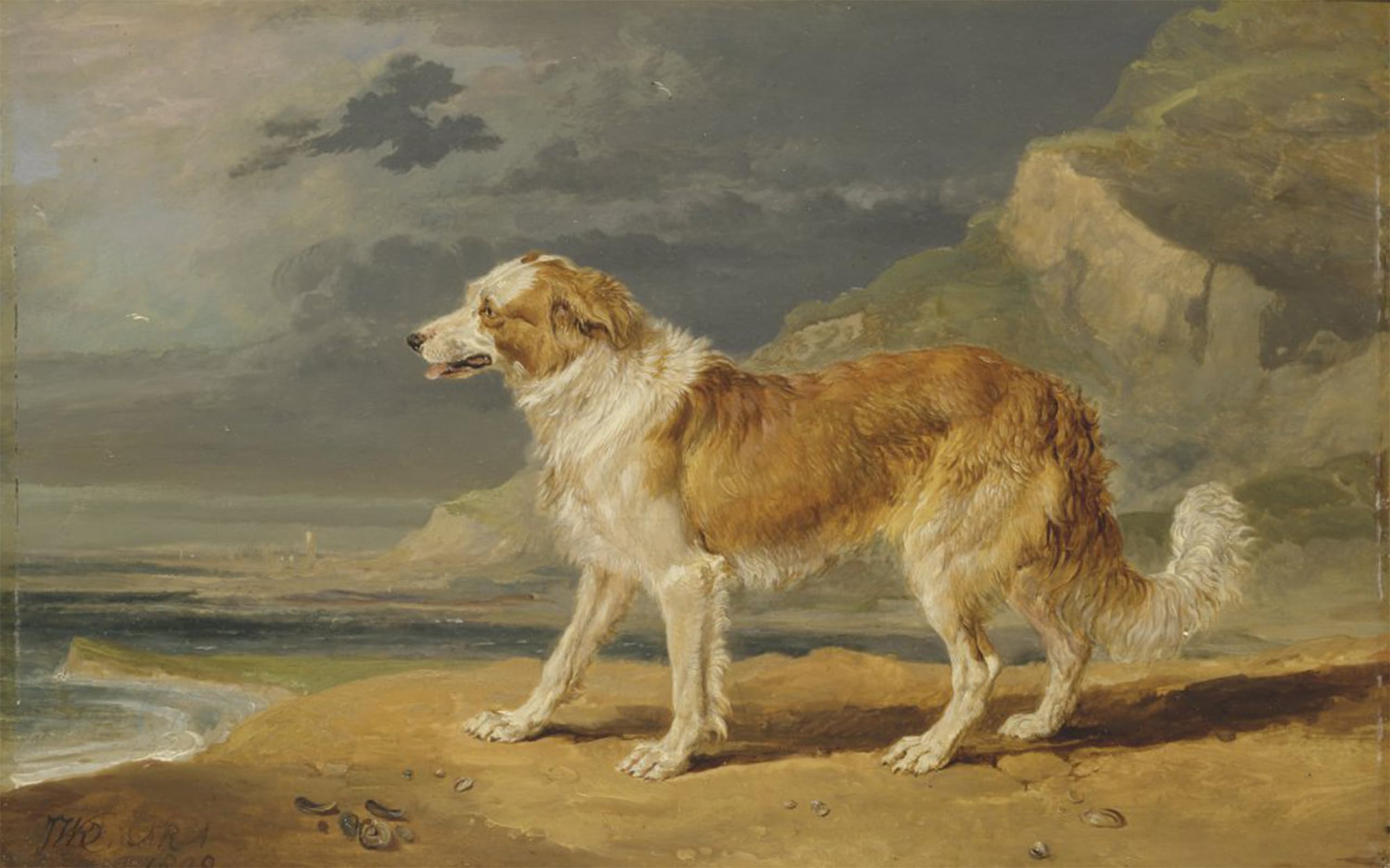 ARTXLXXBN Famous Painting Art Wall Decor Abstract Art Picture Rough coated Collie by Famous Artist Animal Pictures for Home Decor 60x90cm
