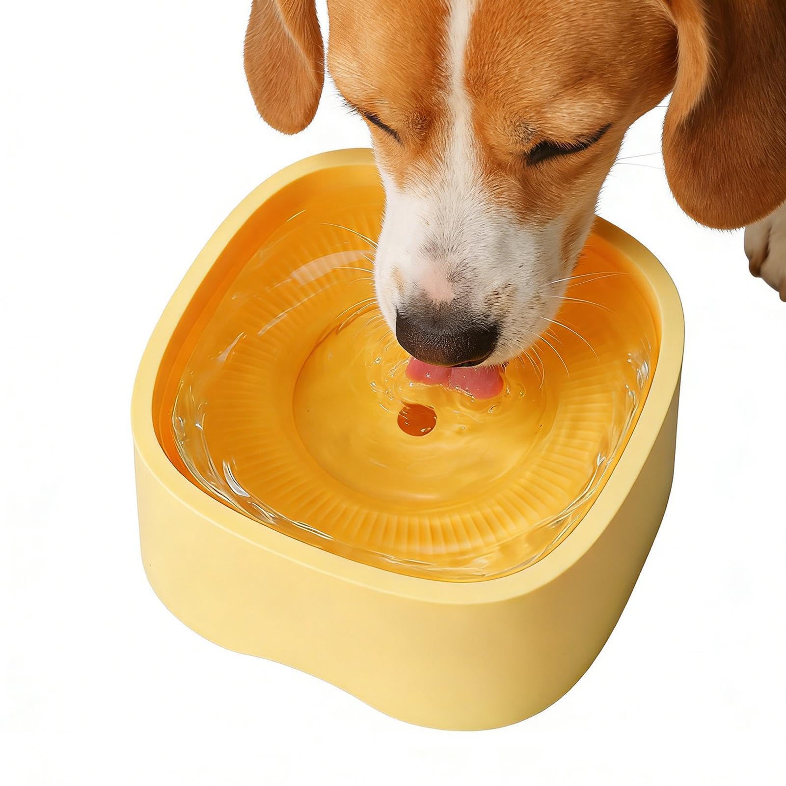 Abreuvoir pour chiens anti-éclaboussures à boisson lente