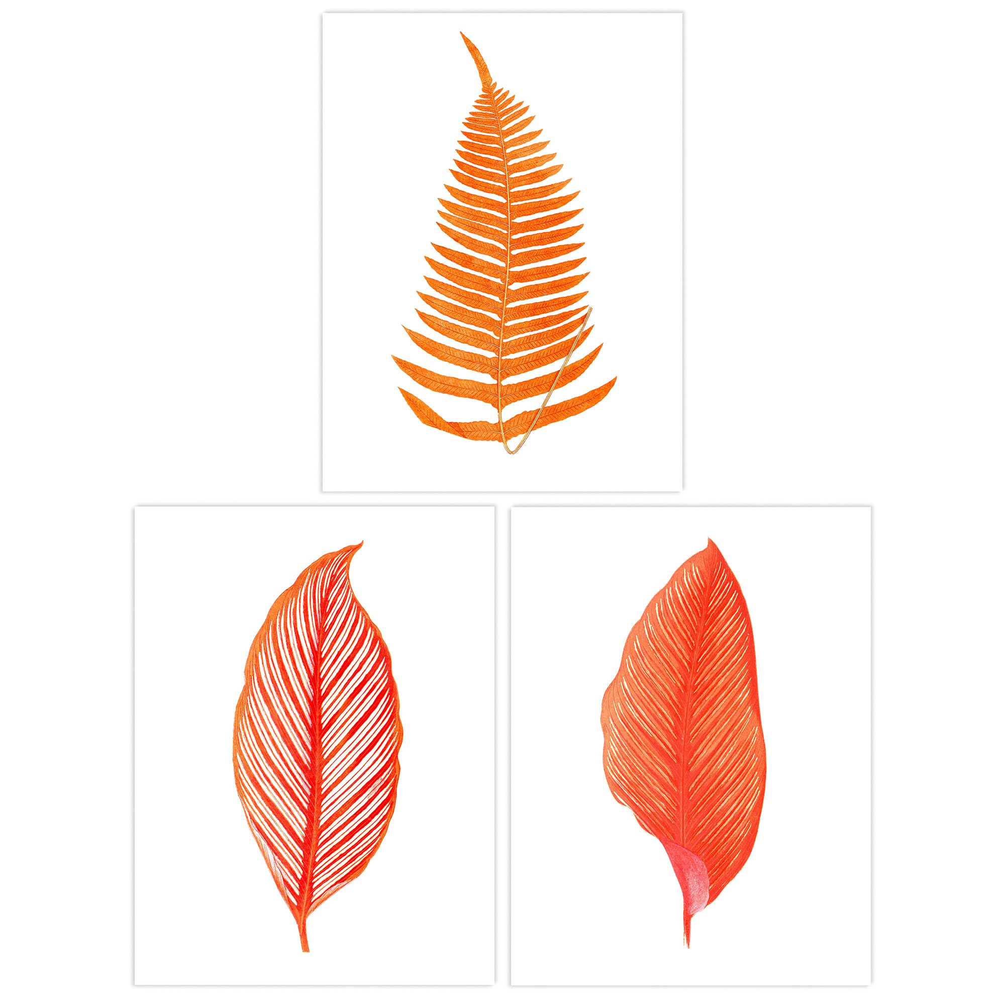 Wee Blue Coo Pack of 3 Elegant Fern Frond Plant Tree Bright Orange Leaf Detailed Foliage Botanical Unframed Wall Art Living Room Prints Set