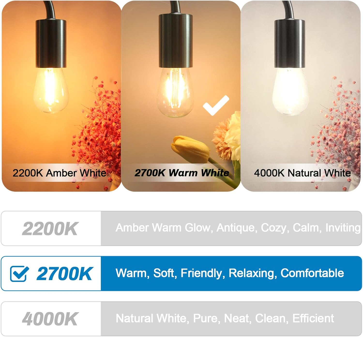 25Pack 2W S14 LED Glass Bulbs for Outdoor String Lights Replacement, E26 Medium Screw Base, 2700K Warm White LED Edison Light Bulb, 2 Watt to Replace 11w/20w/25w s14 Incandescent Bulbs