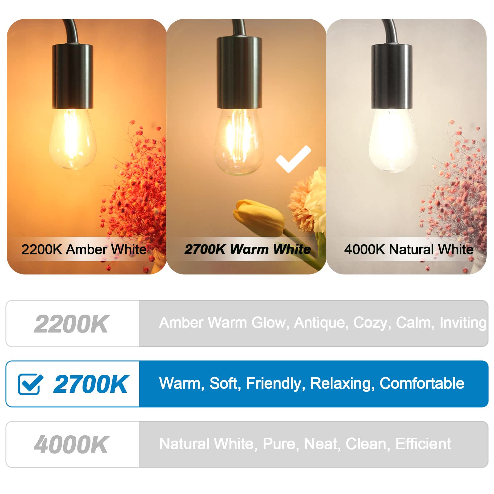 LangPlus+ lampadine LED S14 in vetro da 2W, attacco E27 2700K bianca calda LED Lampada Edison per stringhe luminose, non dimmerabili da 2W equivalenti a una lampadina a incandescenza da 20W 25 pezzi