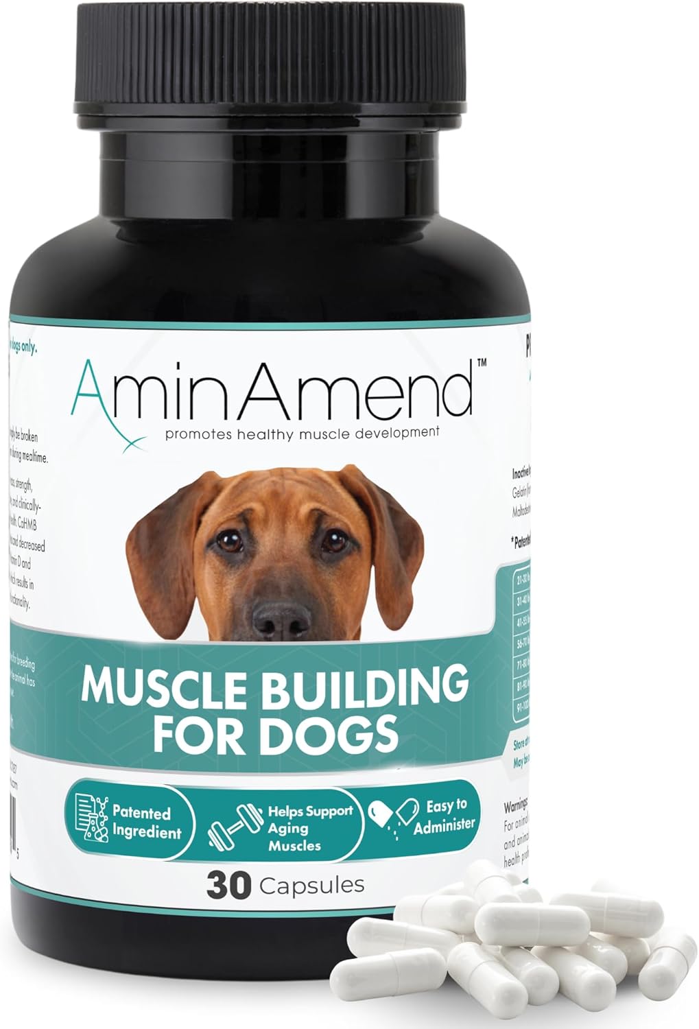 Muscle Support Dog Supplements for Large Breed (21lbs+) with CaHMB & Vitamin D3 – Supports Strength, Mobility & Daily Activity for All Ages & Senior Dog – (30 Capsules)