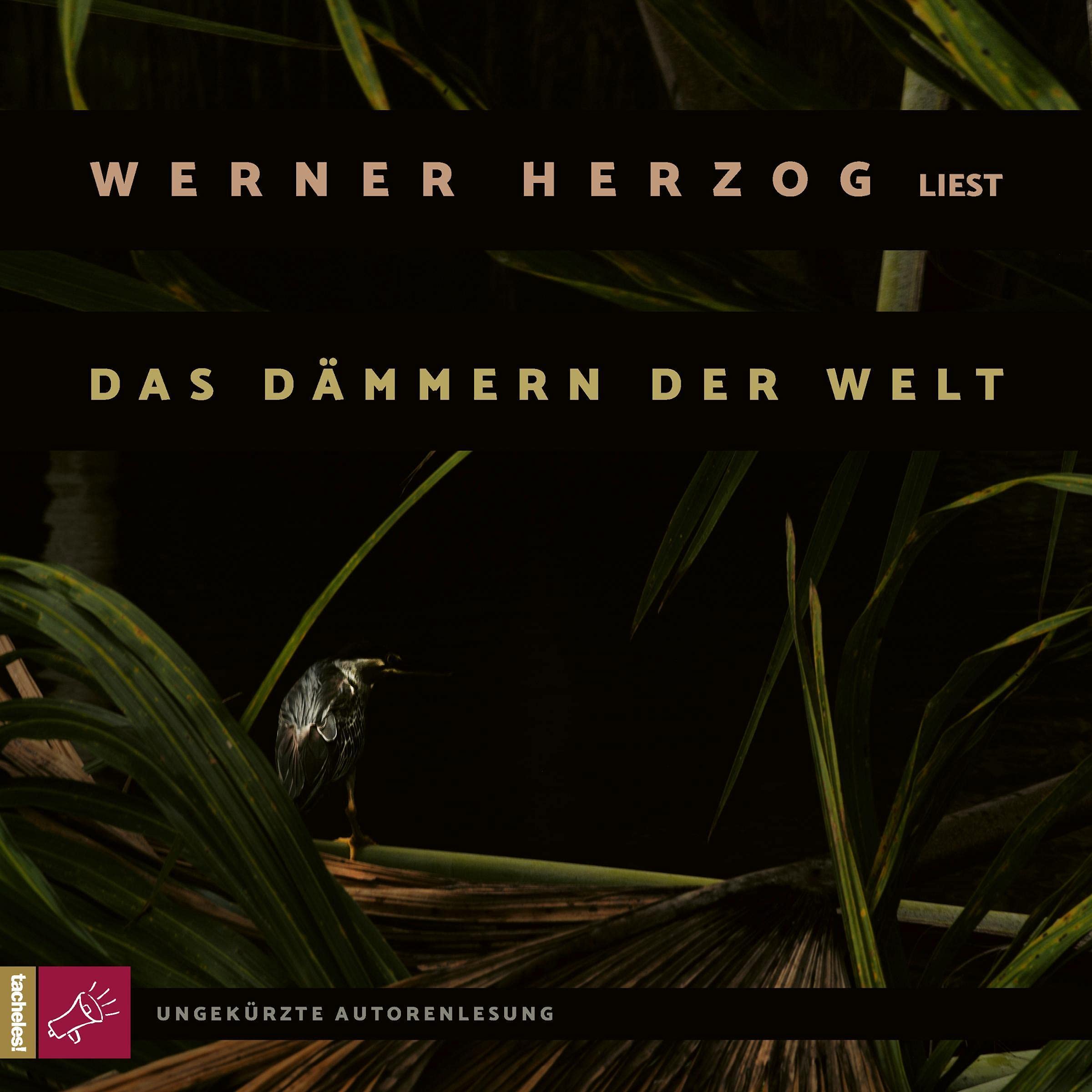 Cover art for Das Dämmern der Welt
