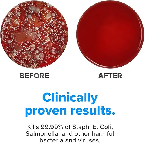 Miniatura 14 de PhoneSoap 3.0 - Sanitizador de rayos UV y cargador universal para teléfono Blanco,Negro -,Oro,Orquídea,bígaro,Plateado,Aqua 3.0,negro