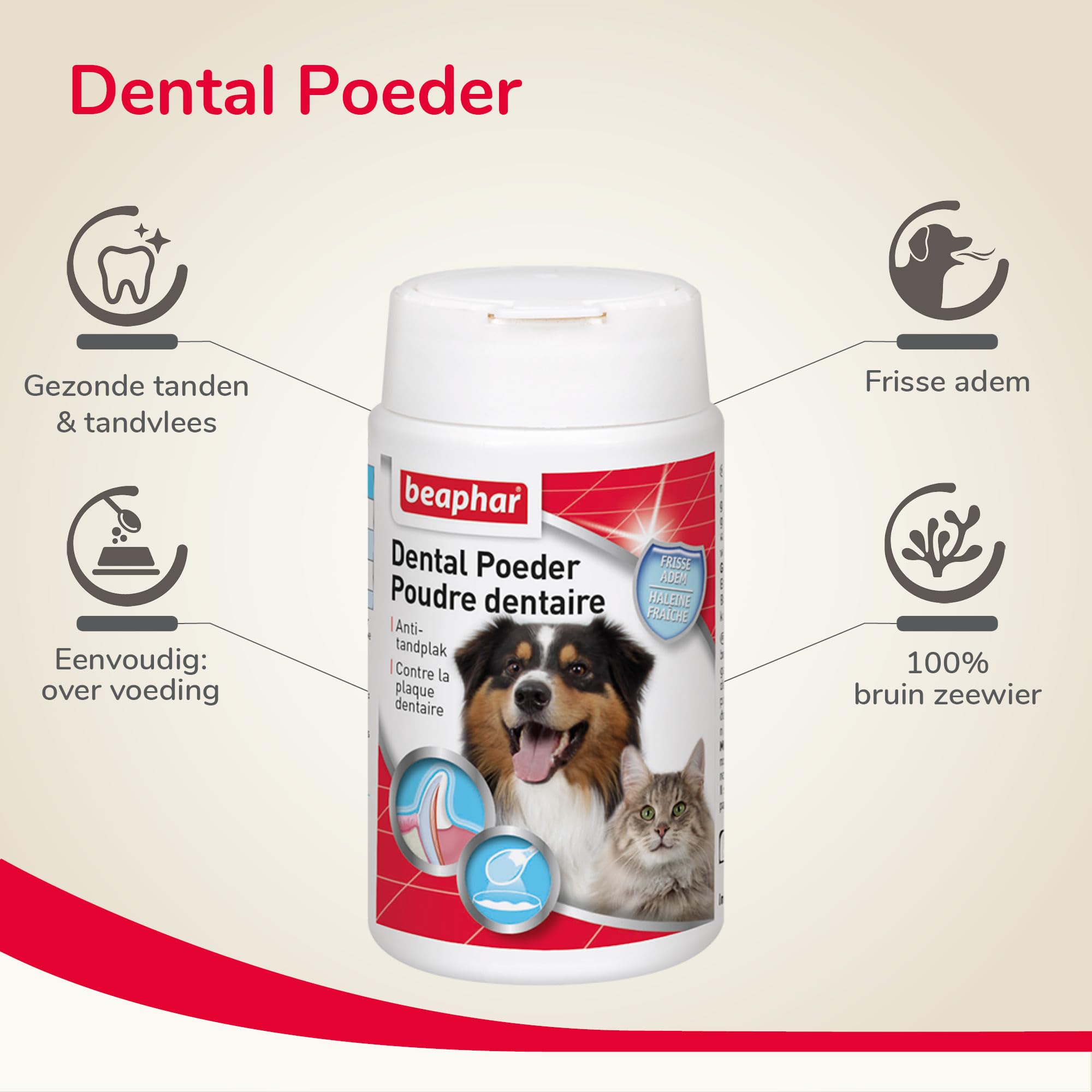 BEAPHAR - Poudre Dentaire pour Chien et Chat - Nettoyage des Dents sans brossage ni rinçage - Combat la Plaque Dentaire, la Formation de tartre et la Mauvaise haleine - 100% Naturelle - 75g