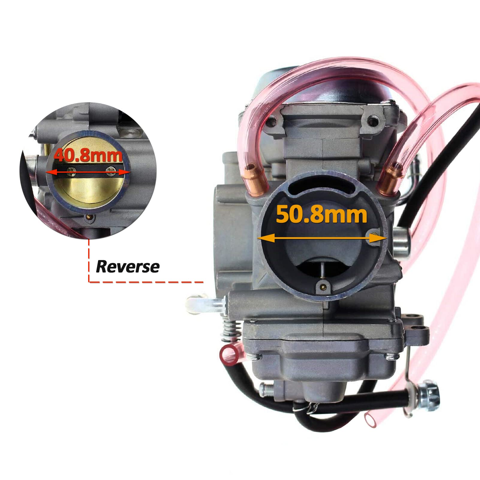 キハダ　sar 121041_1.jpg