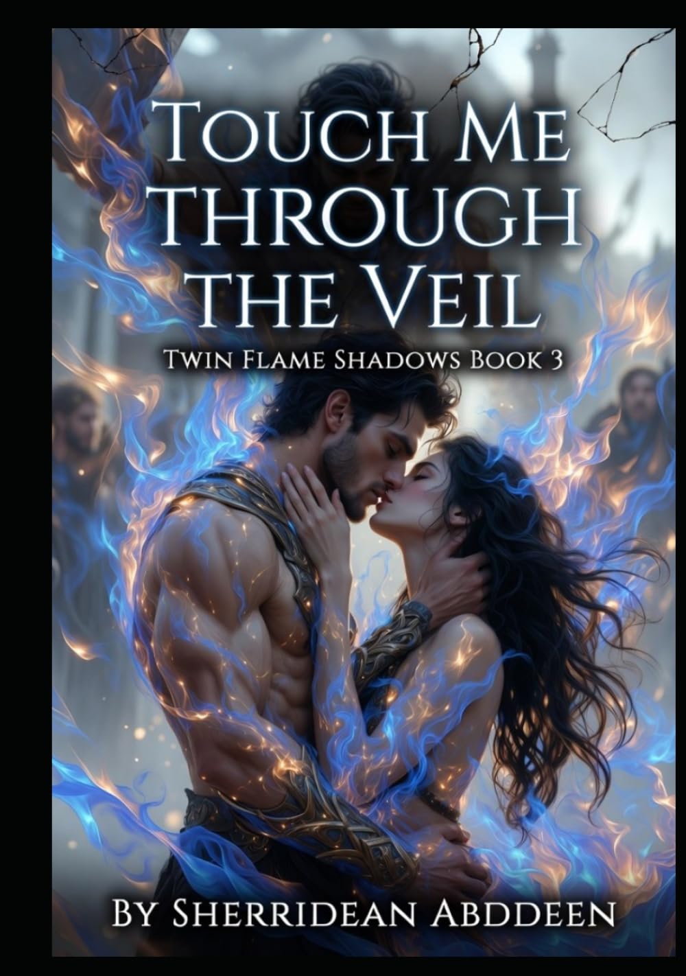 Touch Me Through the Veil Twin Flame Shadows Book 3