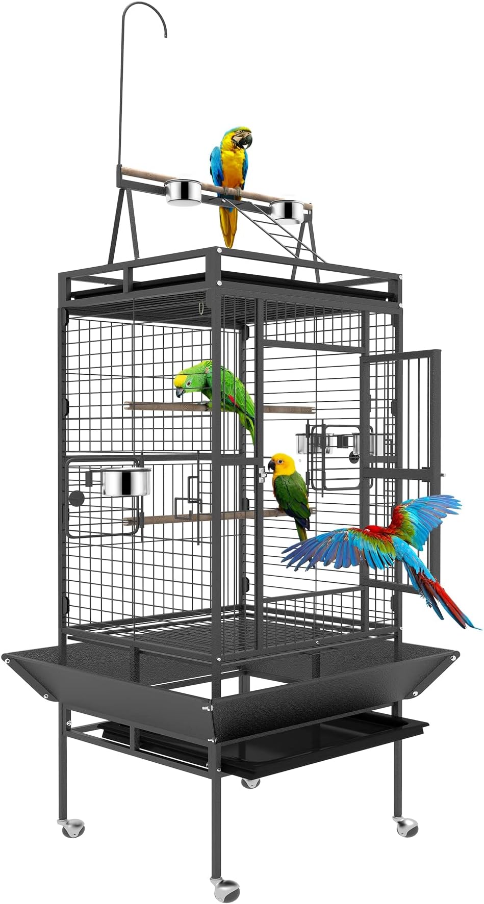 Amazon.com : Prevue Hendryx Pet Products Wrought Iron Select Bird Cage ...