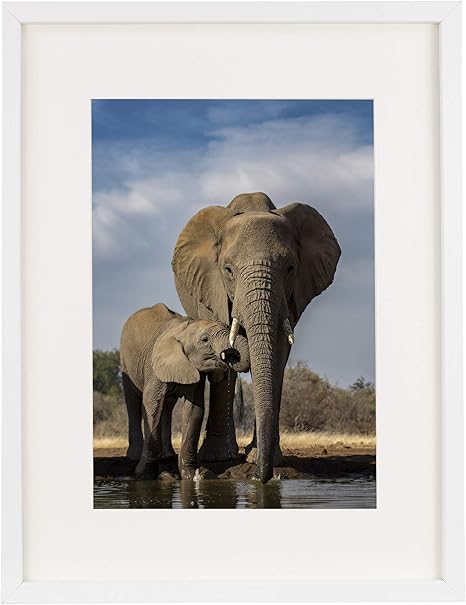 Amazon Com Art 12x16 30x40 Cm White Picture Frame Made Of Wood And High Definition Glass Display Pictures 8x12 With Mat Or 12x16 Without Mat Vertical And Horizontal Wall Mounting