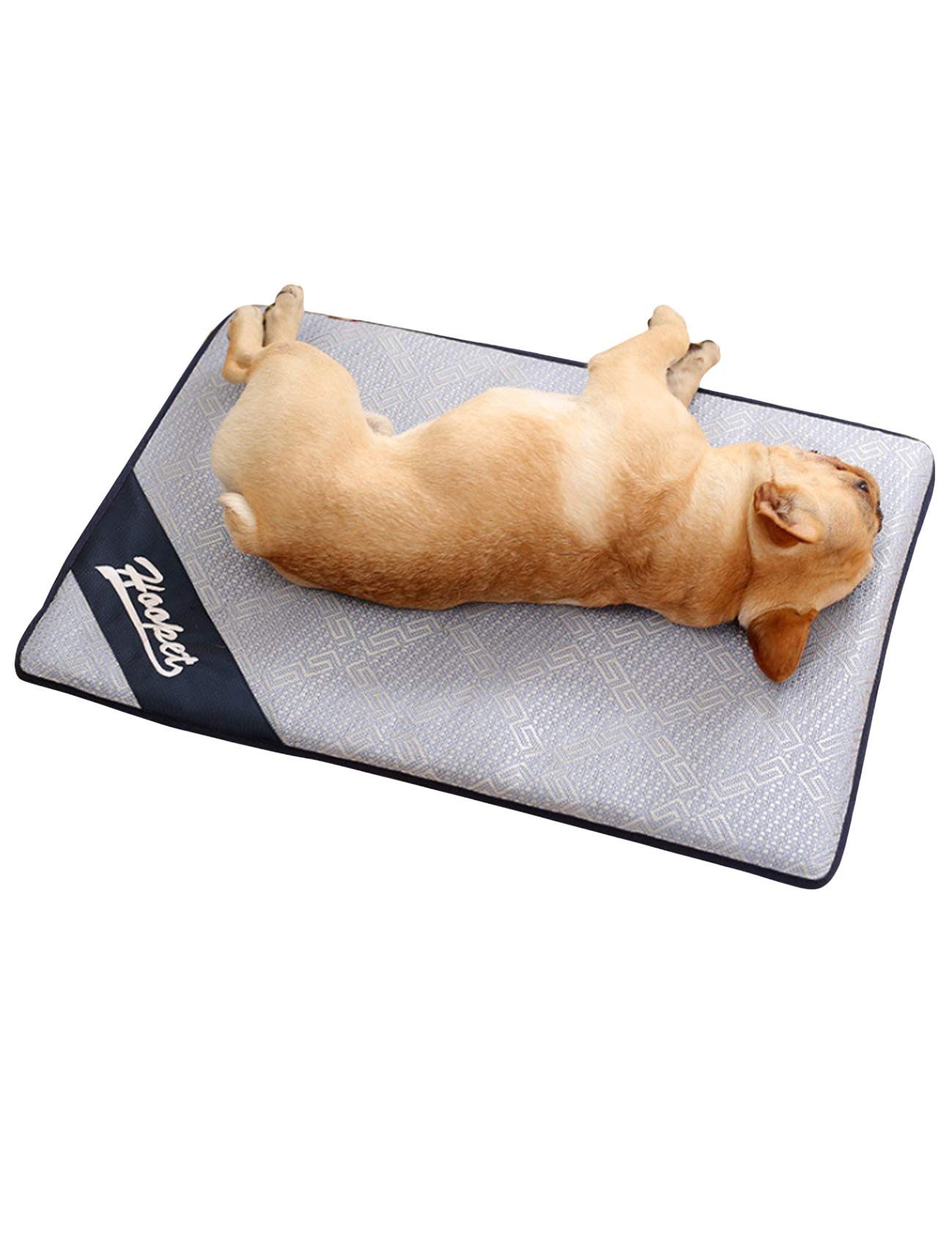 BAFC Cooling Mat for Dog & Cat Light Blue XL