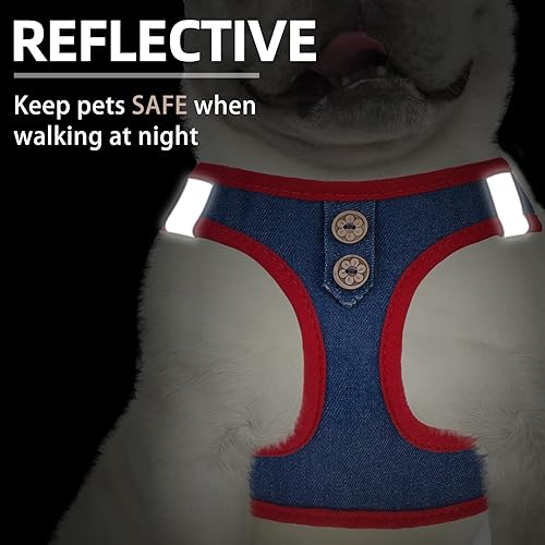 Miniatura 5 de Pupteck Juego de arnés y correa para perros pequeños y medianos, cachorros, gatos, sin tirones, de malla suave, chaleco reflectante por la noche,