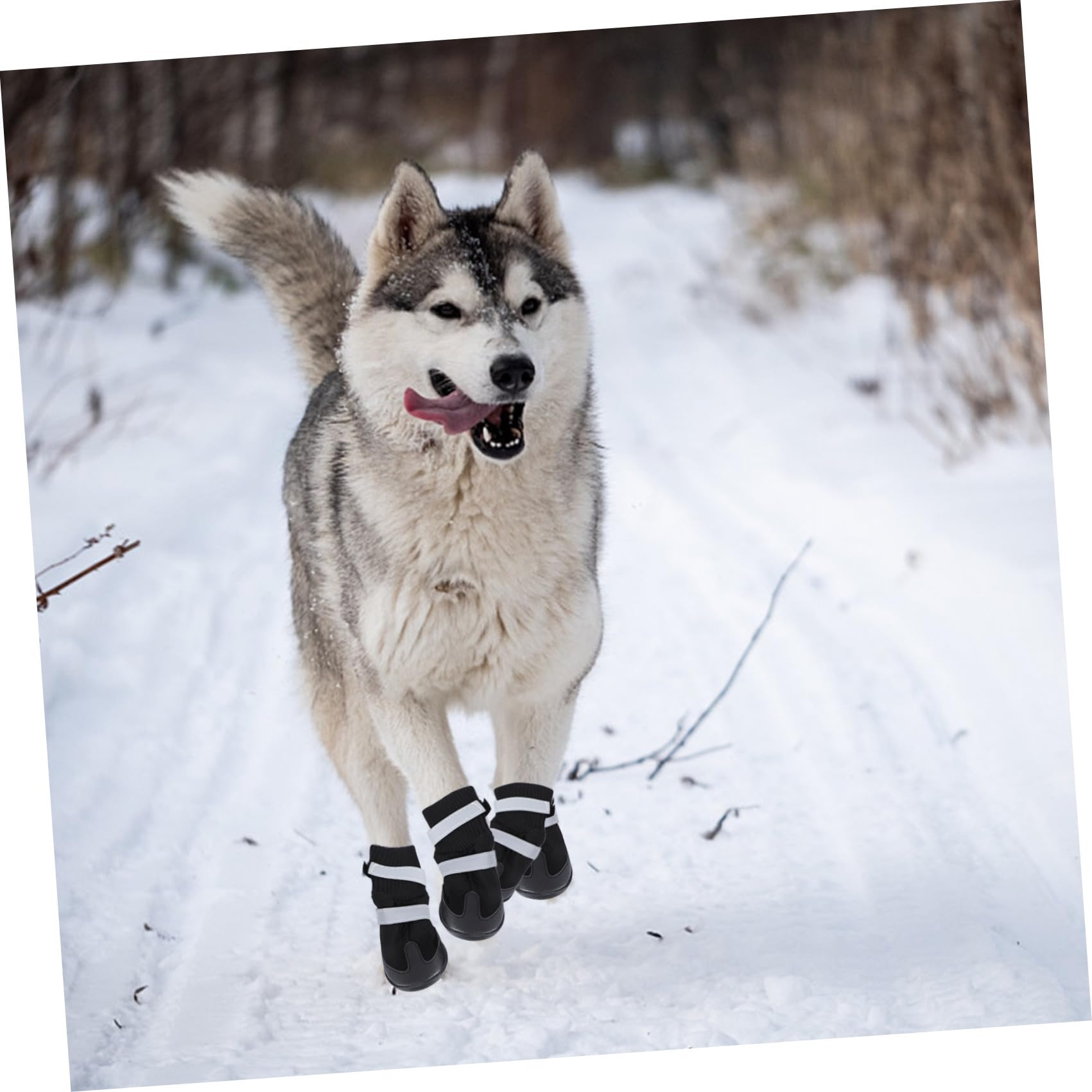 minkissy 12 STK hundeschuhe Hundepfotenschutz Hundestiefel & Pfotenschützer Chihuahua-Schuhe Schneestiefel Stiefel für Haustierhunde Hund warme Stiefel der Hund Haustier Hund Winterschuhe
