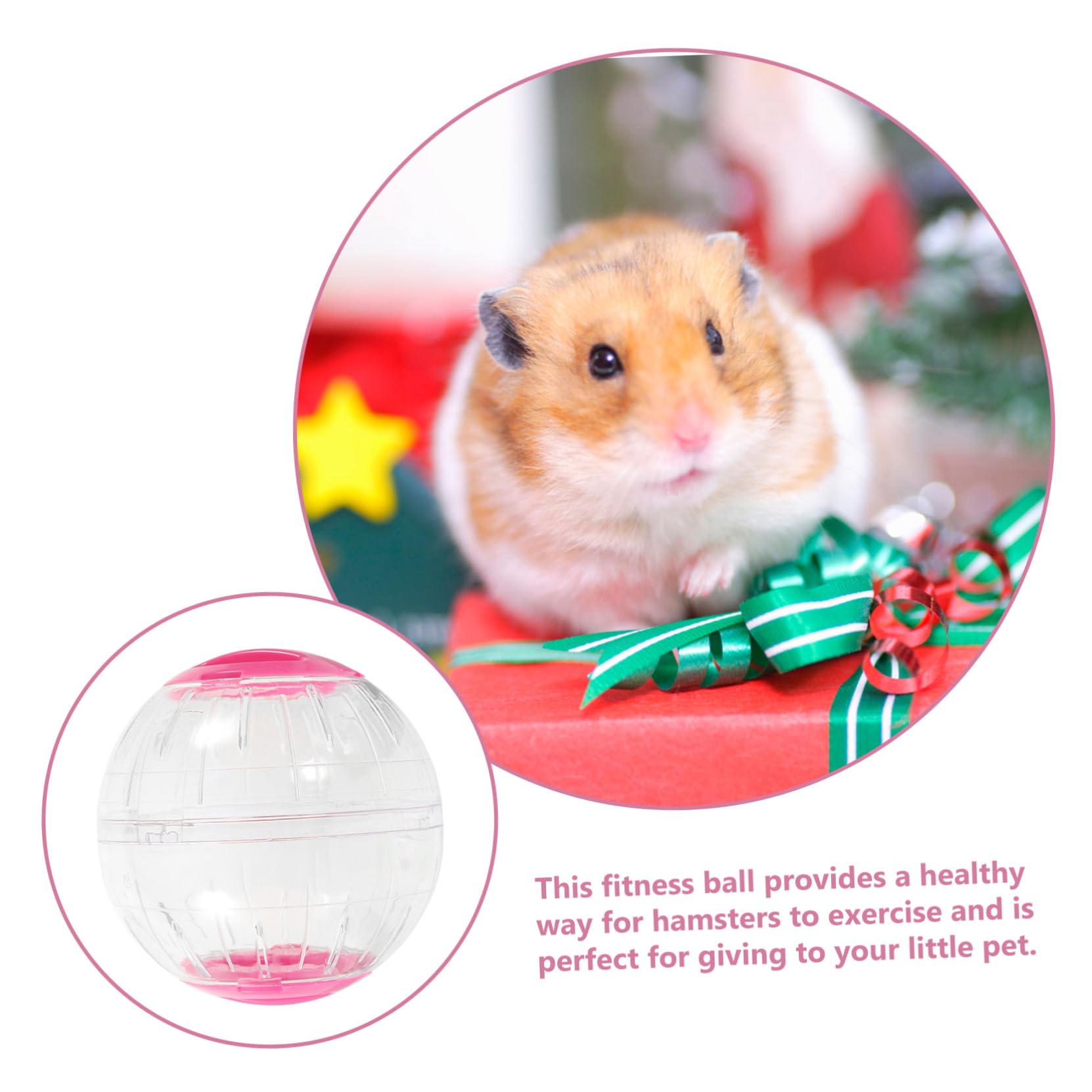 4 Piezas Pelotas de Ejercicio para Mascotas Transparentes con Ventilación Diseño Antiescape para Hámsters Jerbos y Pequeños Roedores Ruedas Seguras y Portátiles para Actividad