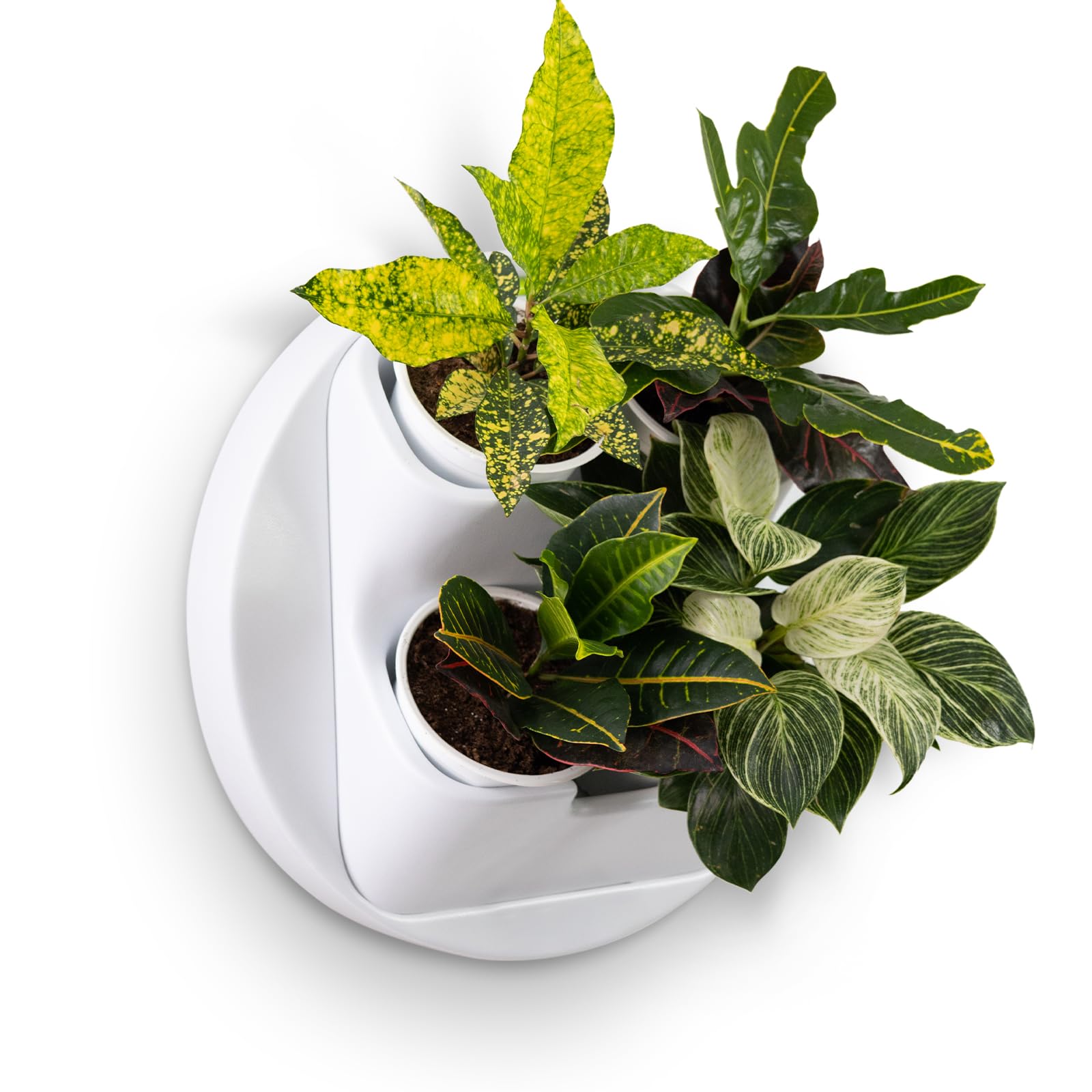 Décoration murale ronde avec 4 pots de fleurs pour un jardin vertical suspendu