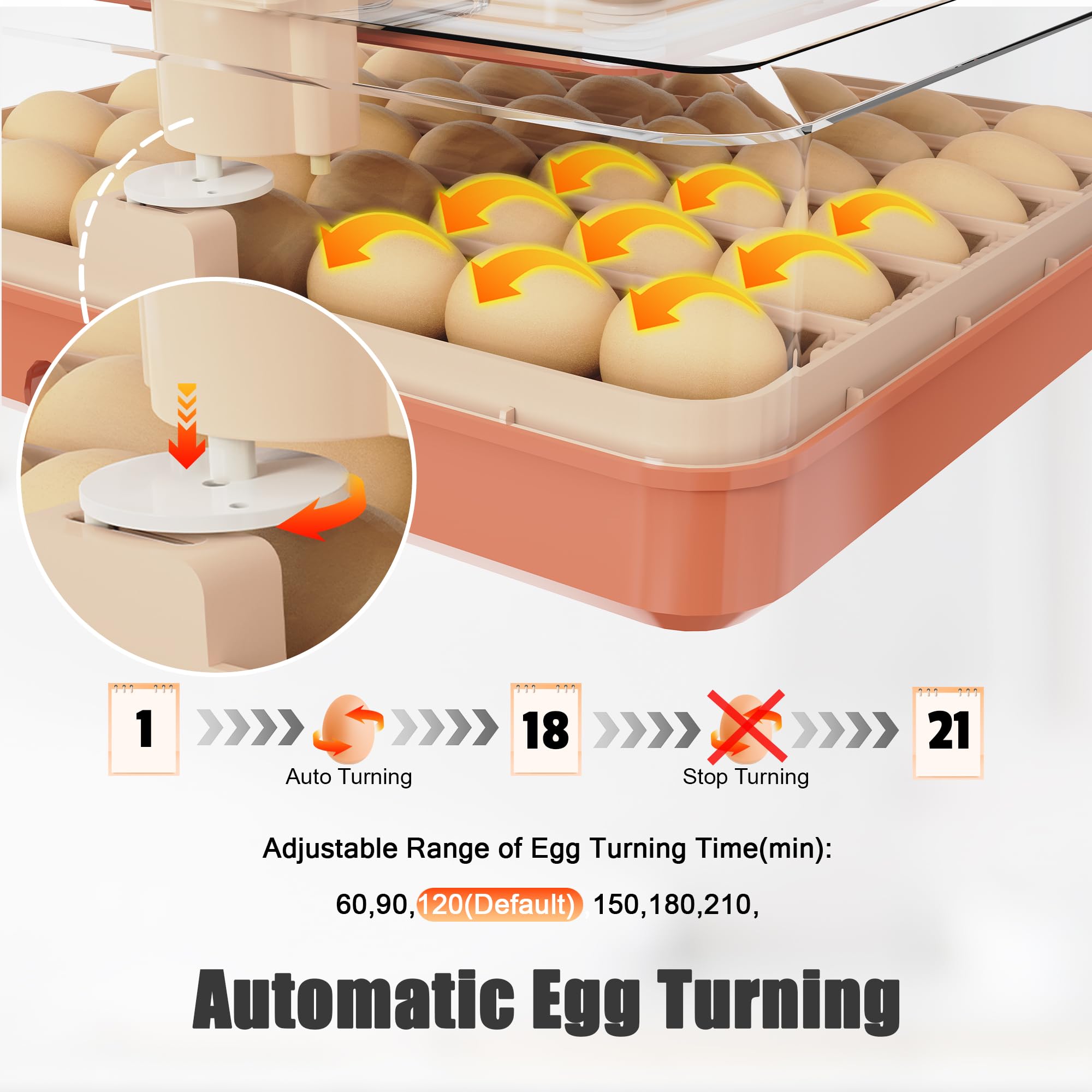 Incubadora automática de huevos de 48 huevos, incubadora con volteamiento y humidificación automáticas, ajuste de temperatura automática incubadora para huevos de gallina, ganso, codorniz