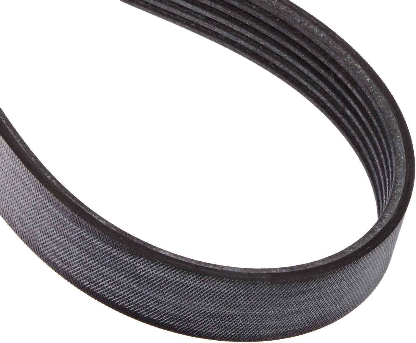Motorcraft Drive Belt