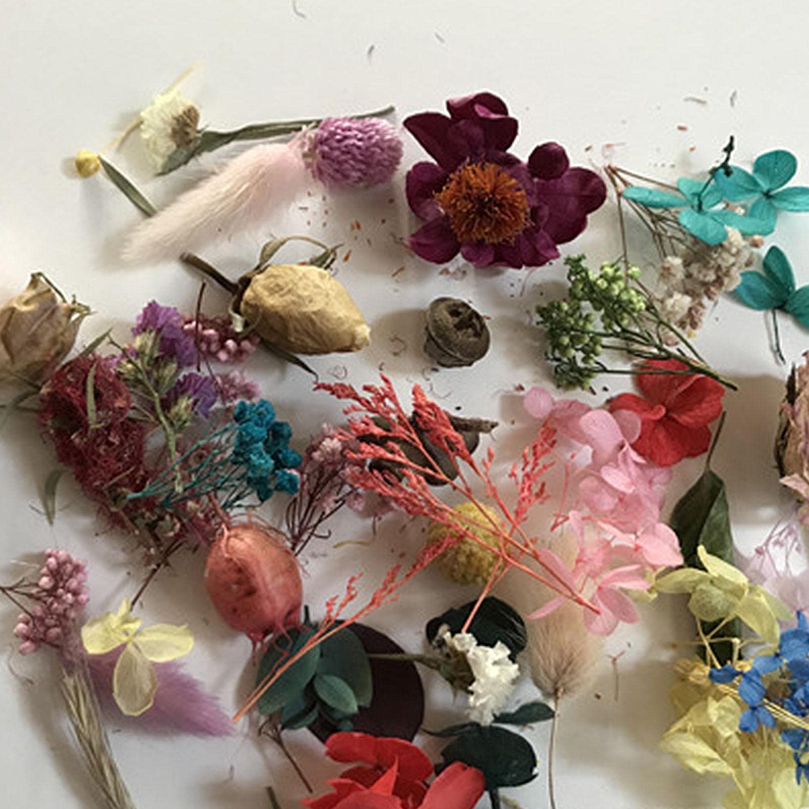 Kit de flores secas naturales, artesanías de hojas de hierbas para jabón, velas, fabricación de joyas de resina, bombas de baño, agua floral, decoración de uñas