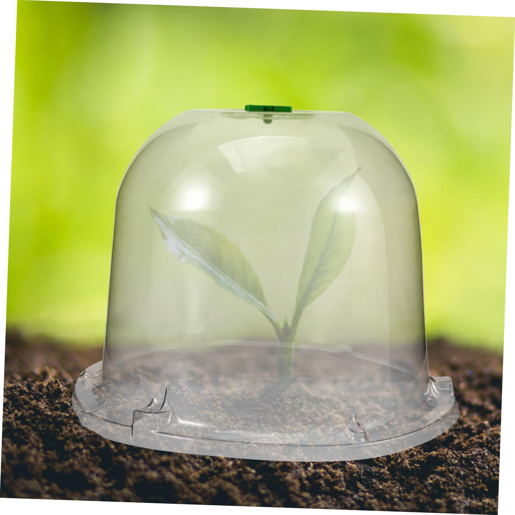 Cloche Ronde En Forme De Dôme En Verre, Mini Cloche En Verre Dôme Clair