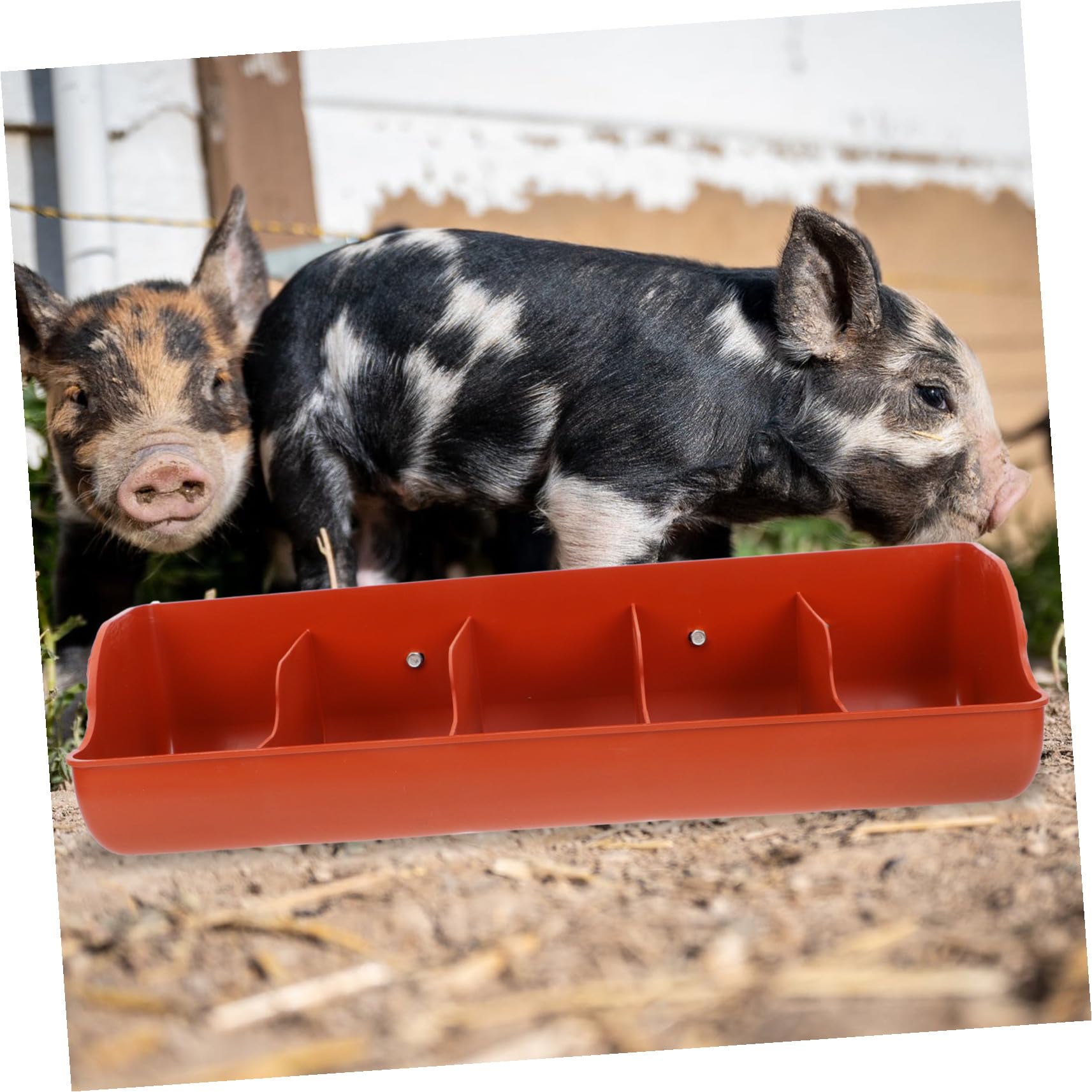 BESPORTBLE Mangiatoia per Suini in Plastica 5 Compartimenti Grande Capacità, Resistente All'usura e Facile da Smontare, per Allevamenti Suini in Fattoria Marrone