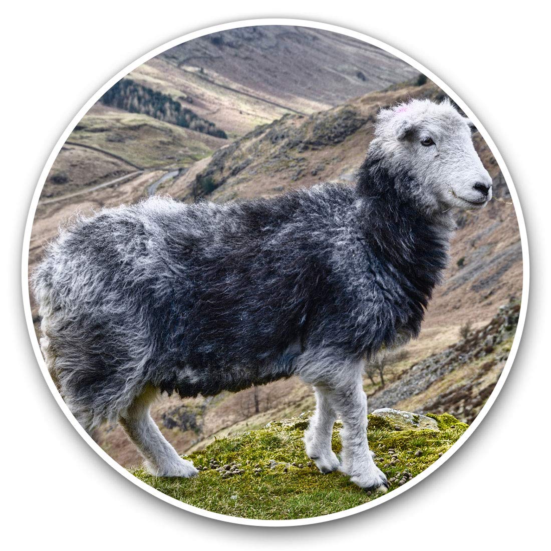Destination Vinyl Ltd Herdwick Sheep Mountain 12563 Vinyl Stickers (Set Of 2) 10Cm - Herdwick Sheep Mountain Decals For Laptops,Tablets,Luggage,Scrap Booking,Fridges, 12563