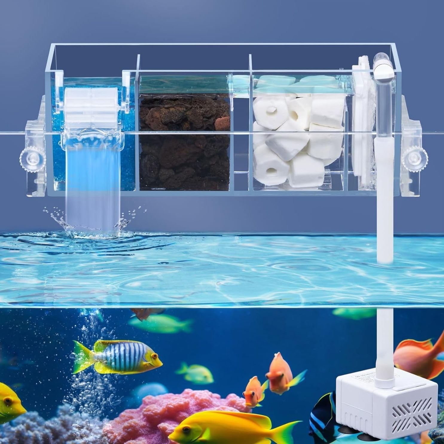VAYINATO® GD-16|5W|300L/Hr Transparent Acrylic 3 Layer Top Sump Filter Box with Pump&Filter Pad, Bio Wheel (Filter Media Not Included) Can Hang on Back & Inside The Tank with Flow Adjuster |3 Layer (B0CW7N1HJJ) Amazon Price History, Amazon Price Tracker