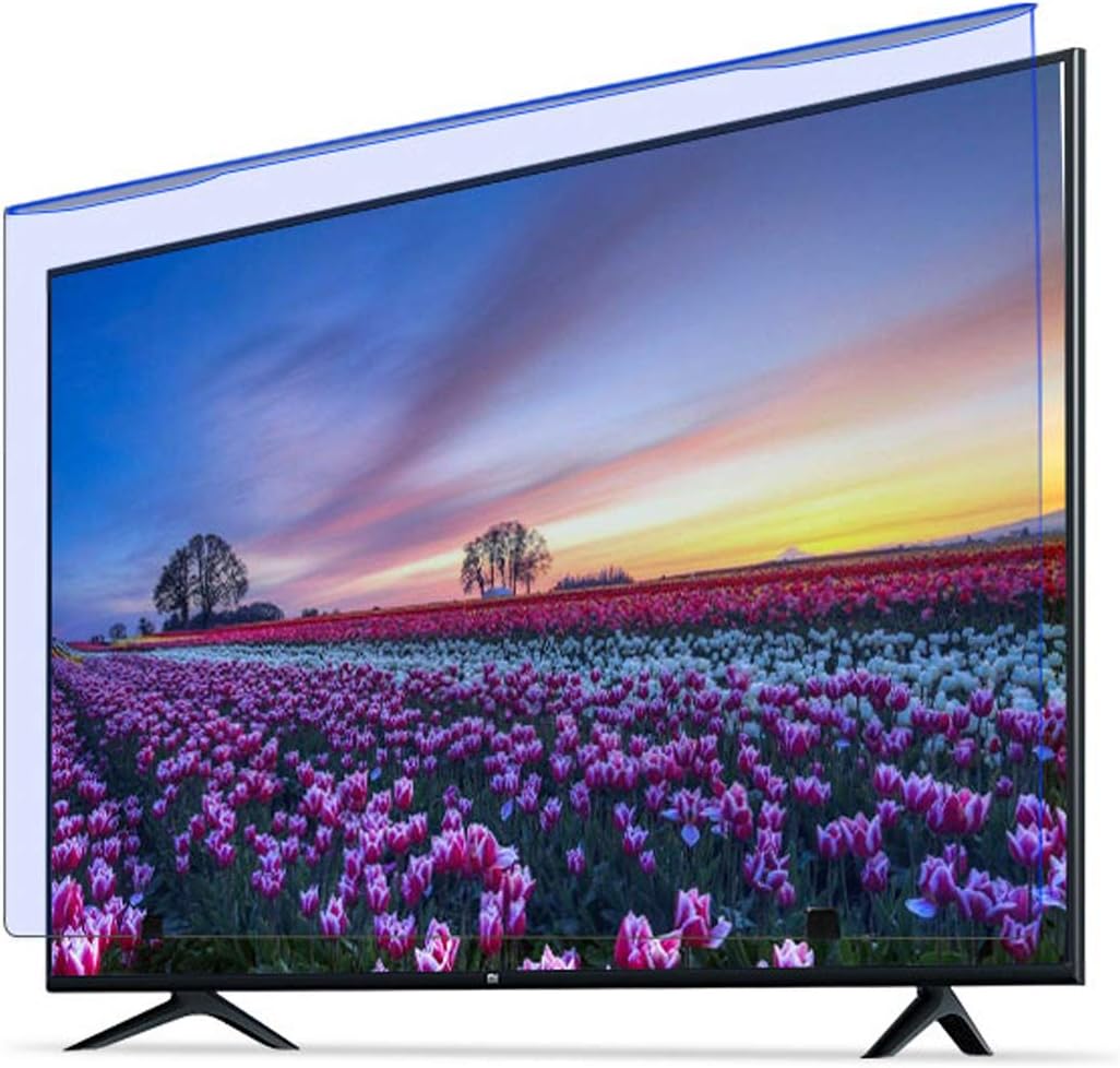 55 Inch TV Screen Protector Film Hanging Acrylic Protector Panel for TV