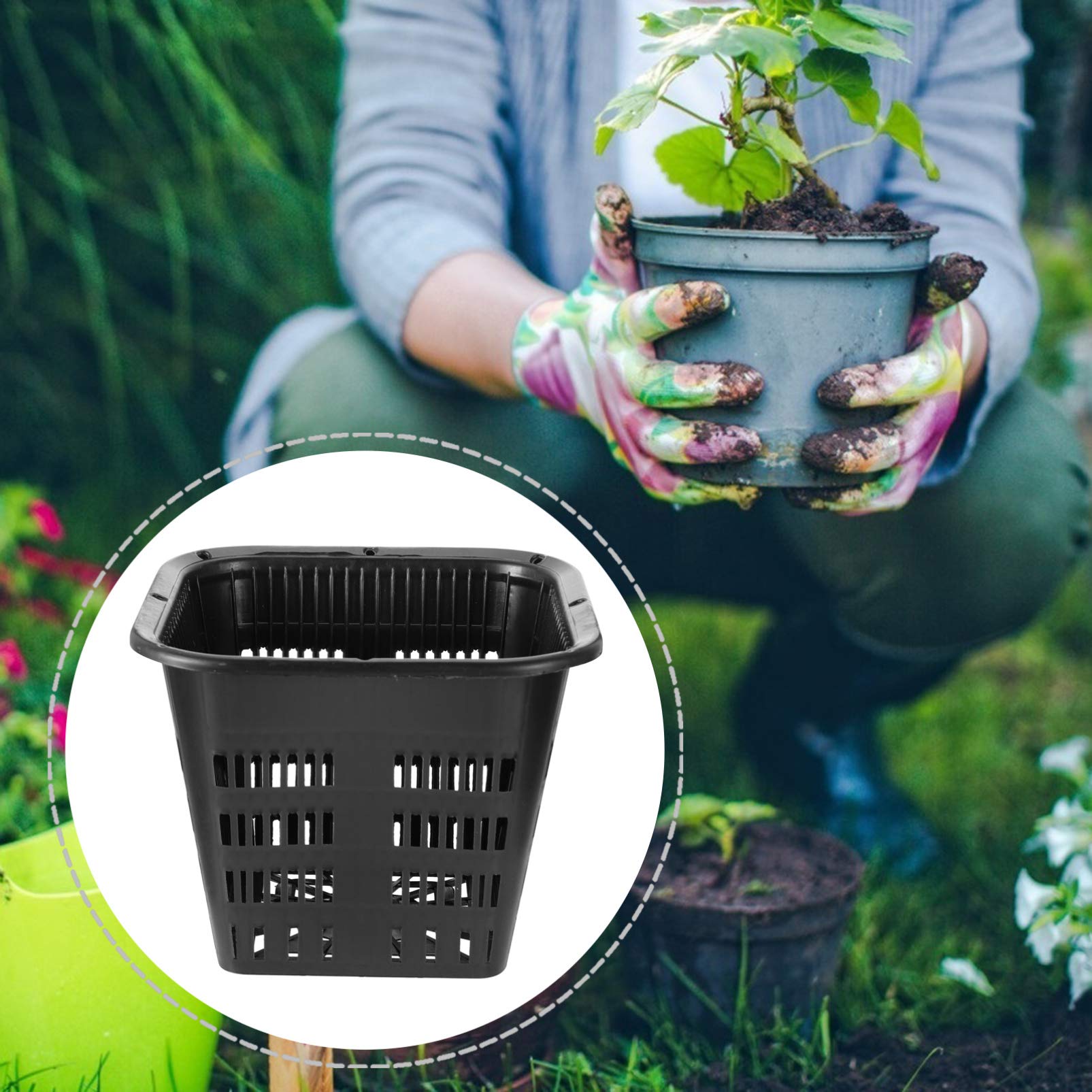 Amazon.co.jp: NUOLUX 育苗ポット スリット鉢 水耕栽培ポット 植木鉢