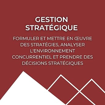 Gestion stratégique [Strategic Management] Livre Audio par Domingos Coimbra episode artwork