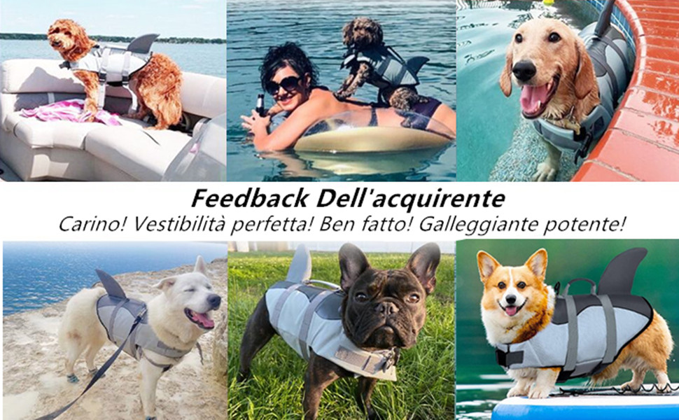 Giubbotto Salvagente Per Cani A Forma Di Squalo - Galleggiante Con Maniglia E Riflettenti - Foto 10