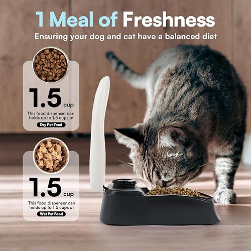 Miniatura 4 de PAWISE Comedero automático para mascotas para perros y gatos, dispensador de alimentos de 1.5 tazas con temporizador de 48 horas, individual