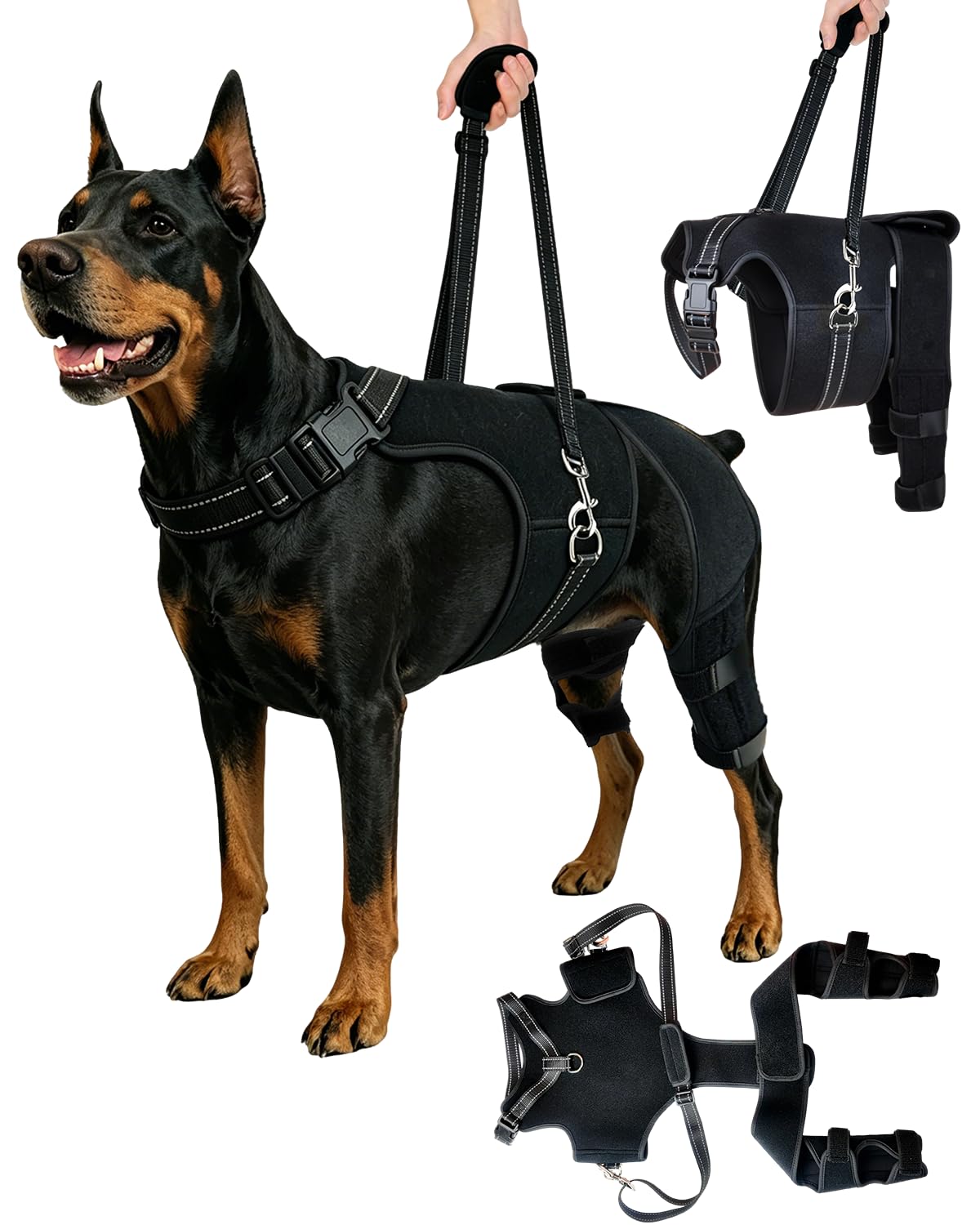 Peteme 2-in-1 Dog Knee Brace