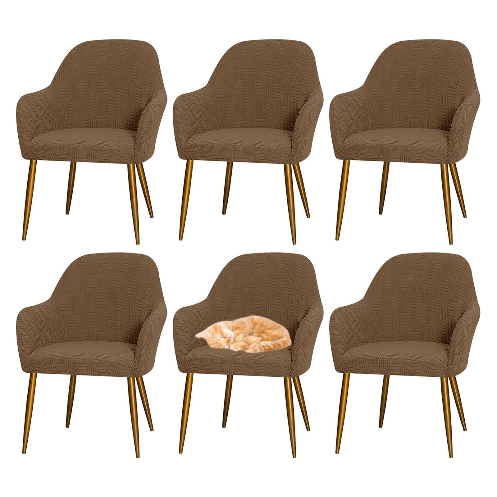 Coprisedia con schienale curvo, per sedie da pranzo, universali, elastiche, per sedia da ufficio e scrivania, con braccioli, per cucina, ufficio, soggiorno (caffè chiaro, set di 6)