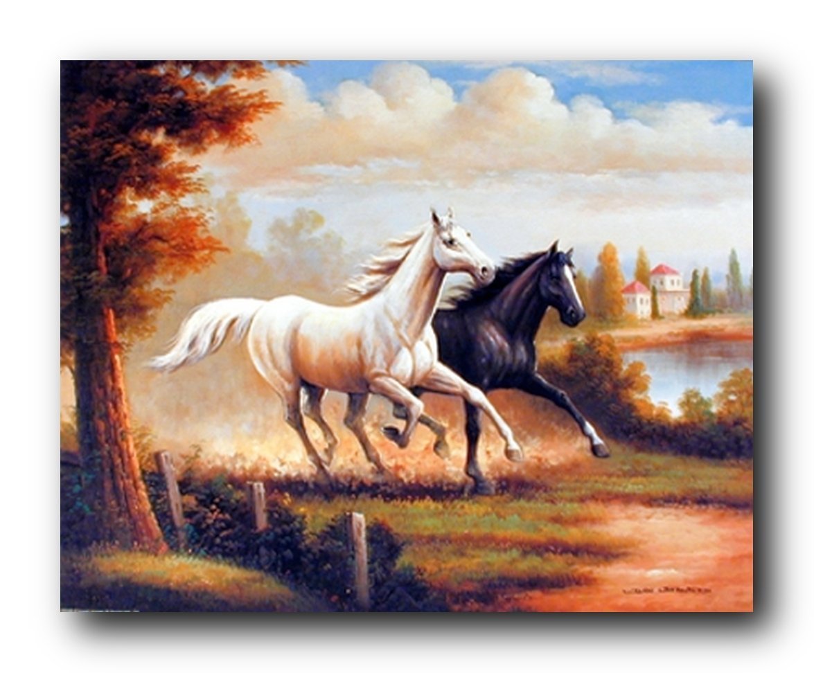 Amazon.com: Impact Posters Gallery Wild Stallion Horses Running