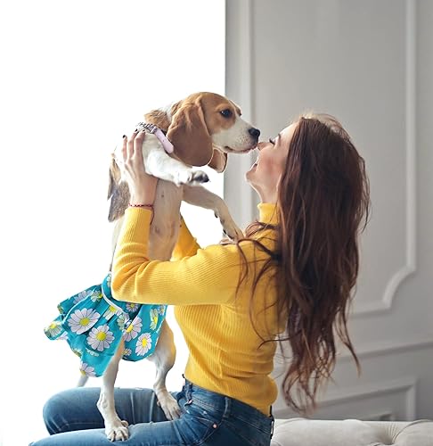 Miniatura 2 de Roncute Paquete de 3 pañales lavables para perras pañales reutilizables de alta absorción bragas para cachorros sin fugas para niñas y perritas en