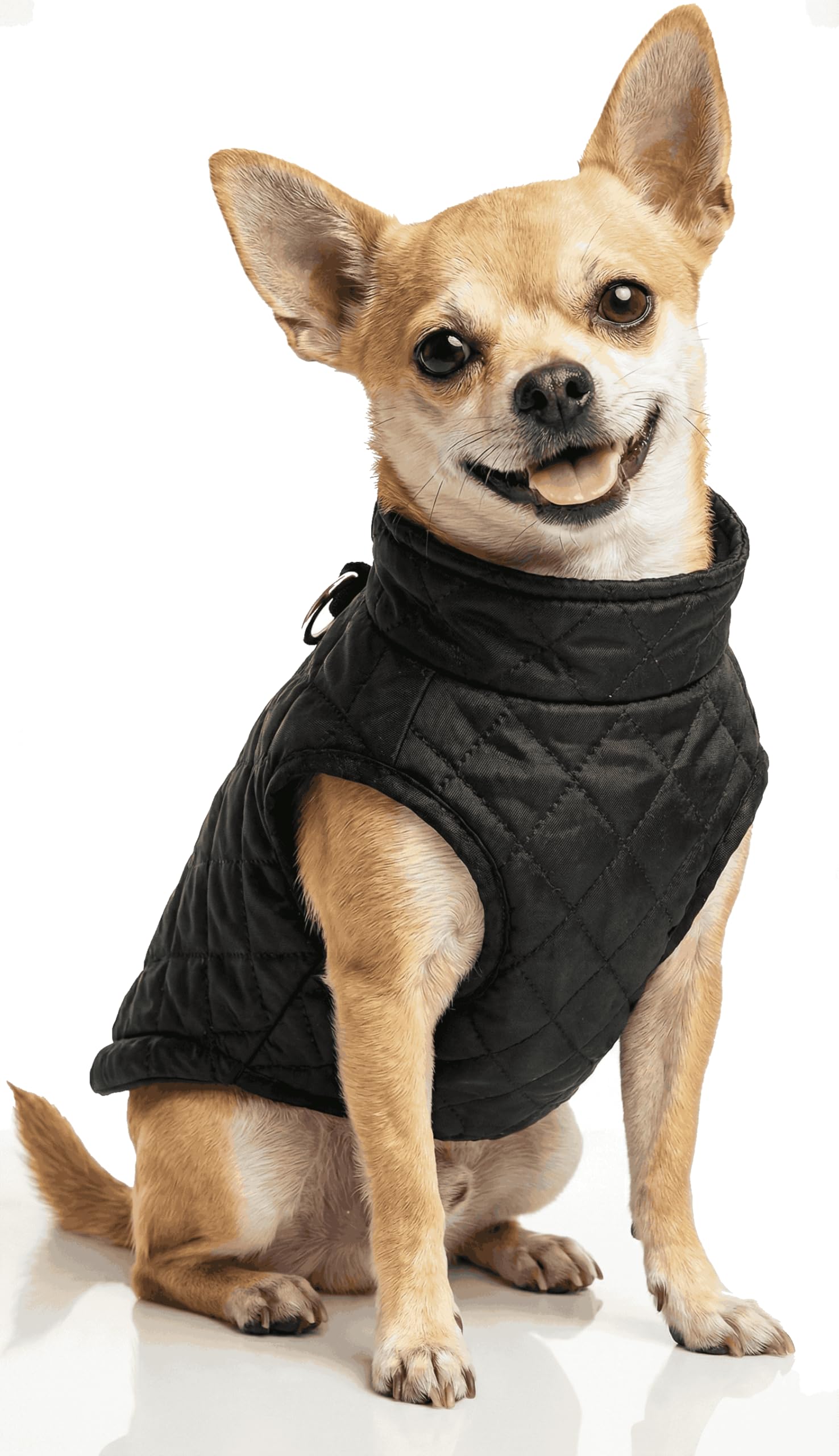 Small Dog Coats Winter Warm Dog Jackets XS Puppy Cold Weather Coat Pet Clothes for Small Dogs