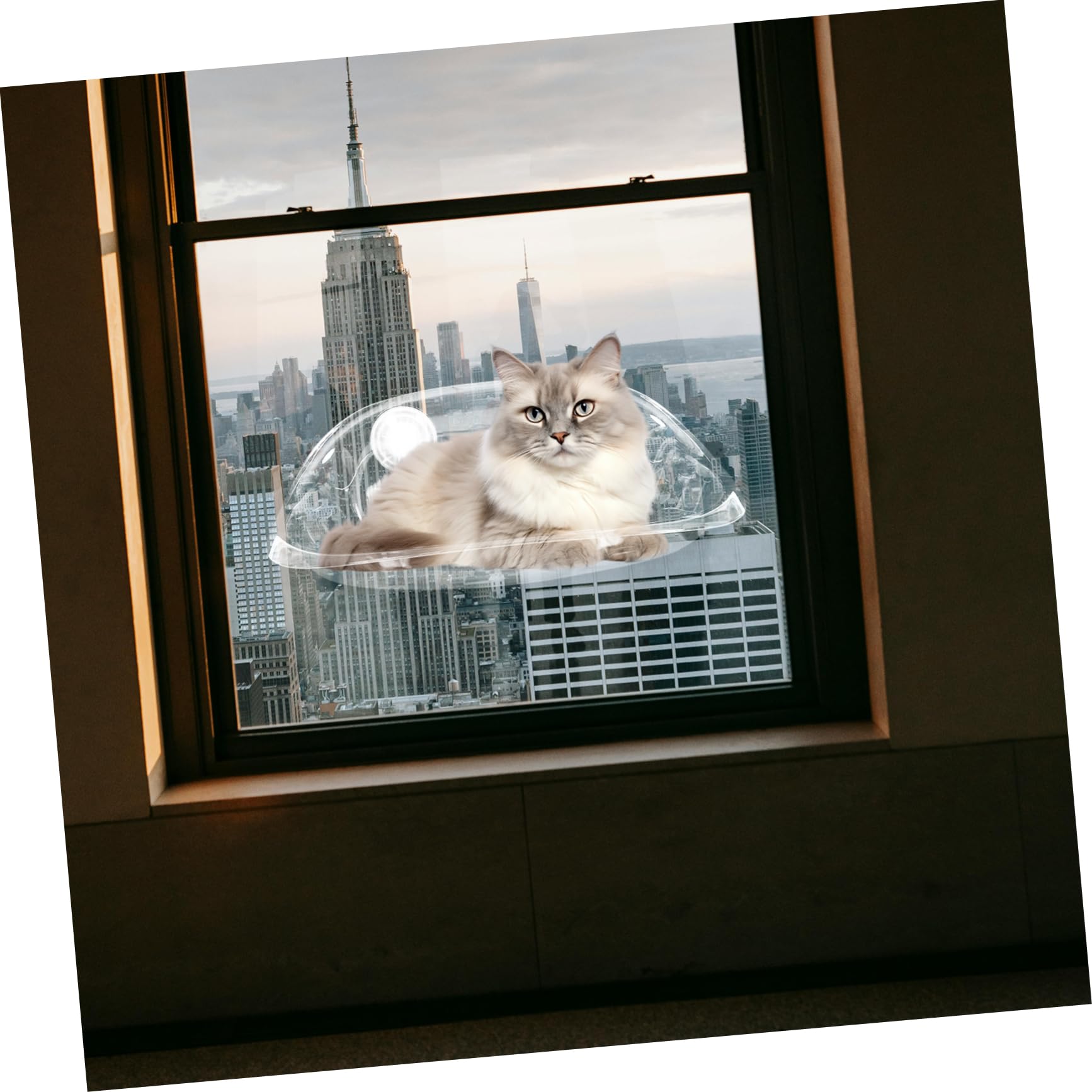 ERINGOGO Chat à Ventouse Cat Bed Suspendu Transparent pour Fenêtre pour Design Détachable Installation Facile
