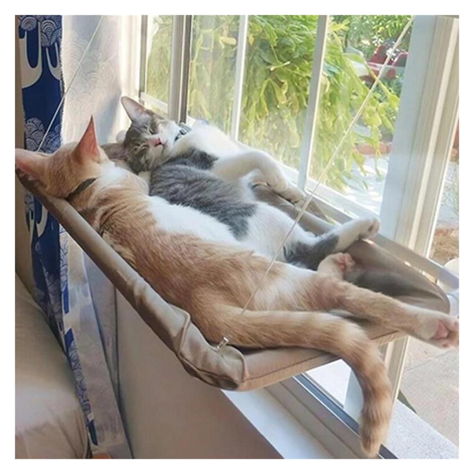 Haustier Katze Hängematte Hängen Bett Lager 20Kg Bequeme Sunny Fenster Sitz Halterung Kätzchen Klettergerüst Zubehör Stabil Komfortabel(Navy Blue)