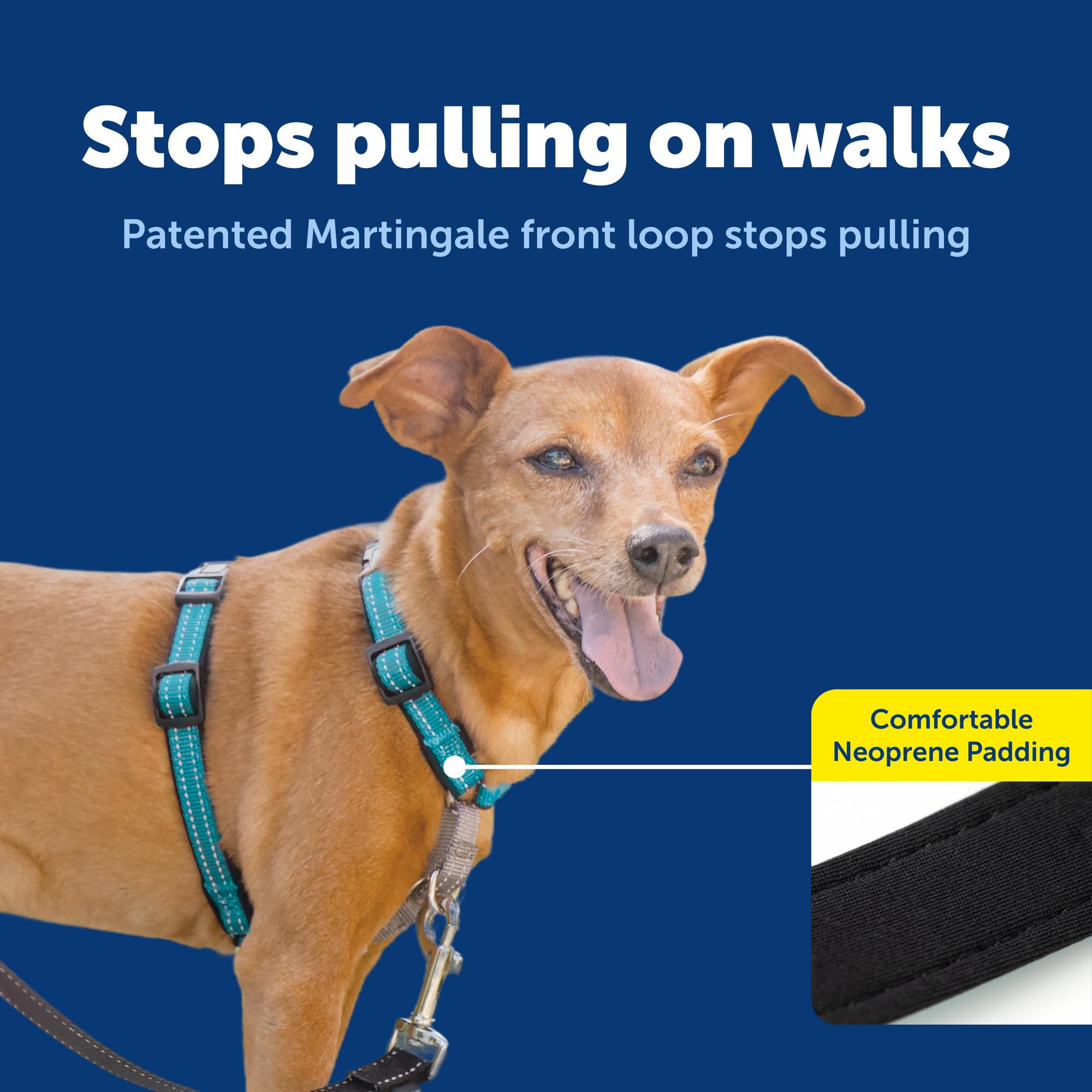 【人気商品】PetSafe（ペットセーフ） 犬用ハーネス 3in1ハーネス ティ Amazon | PetSafe（ペットセーフ） 3in1ハーネス 犬用 引っ張り防止