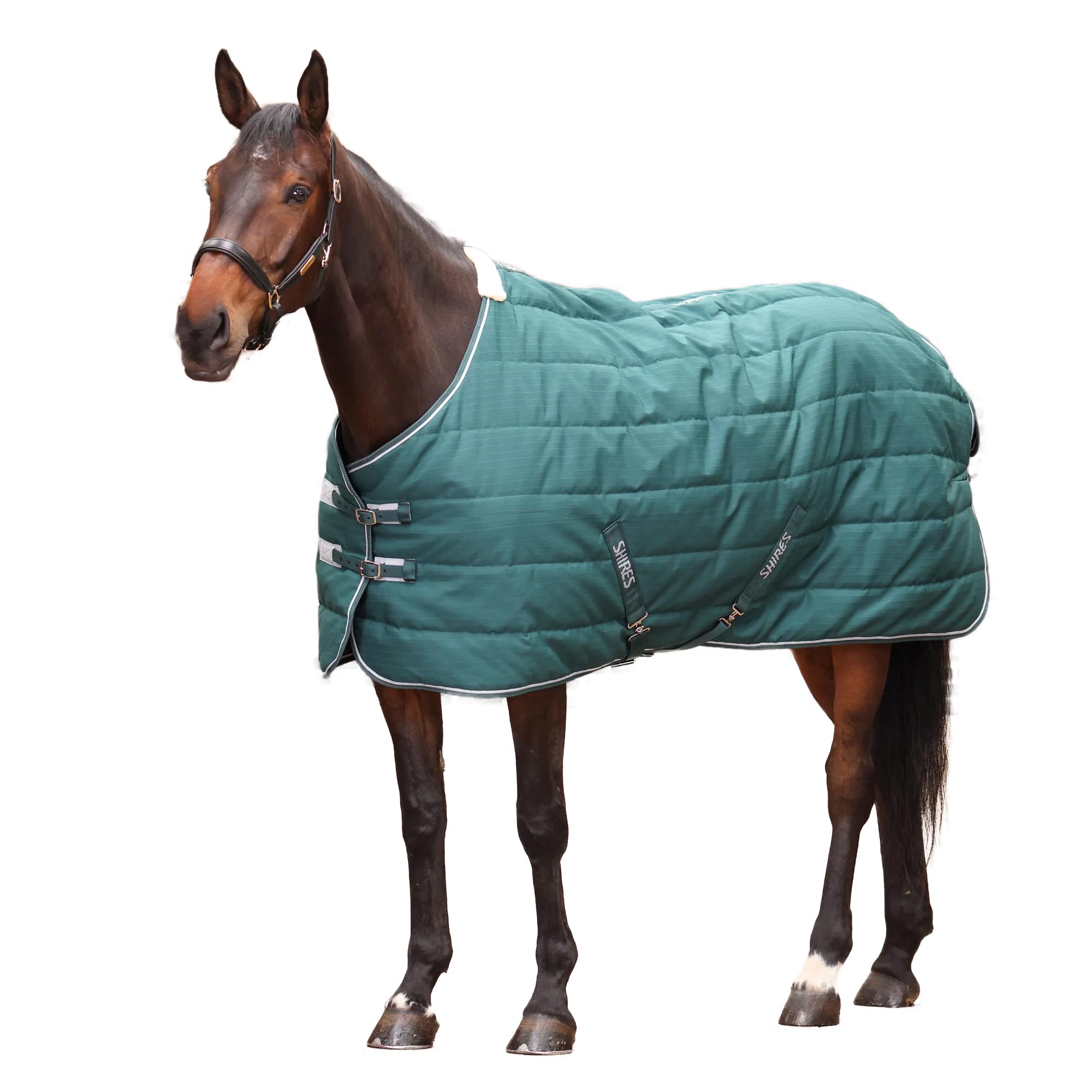 Shires Tempest Original 200g Stable Rug - Emerald 6'0" / 72", Emerald
