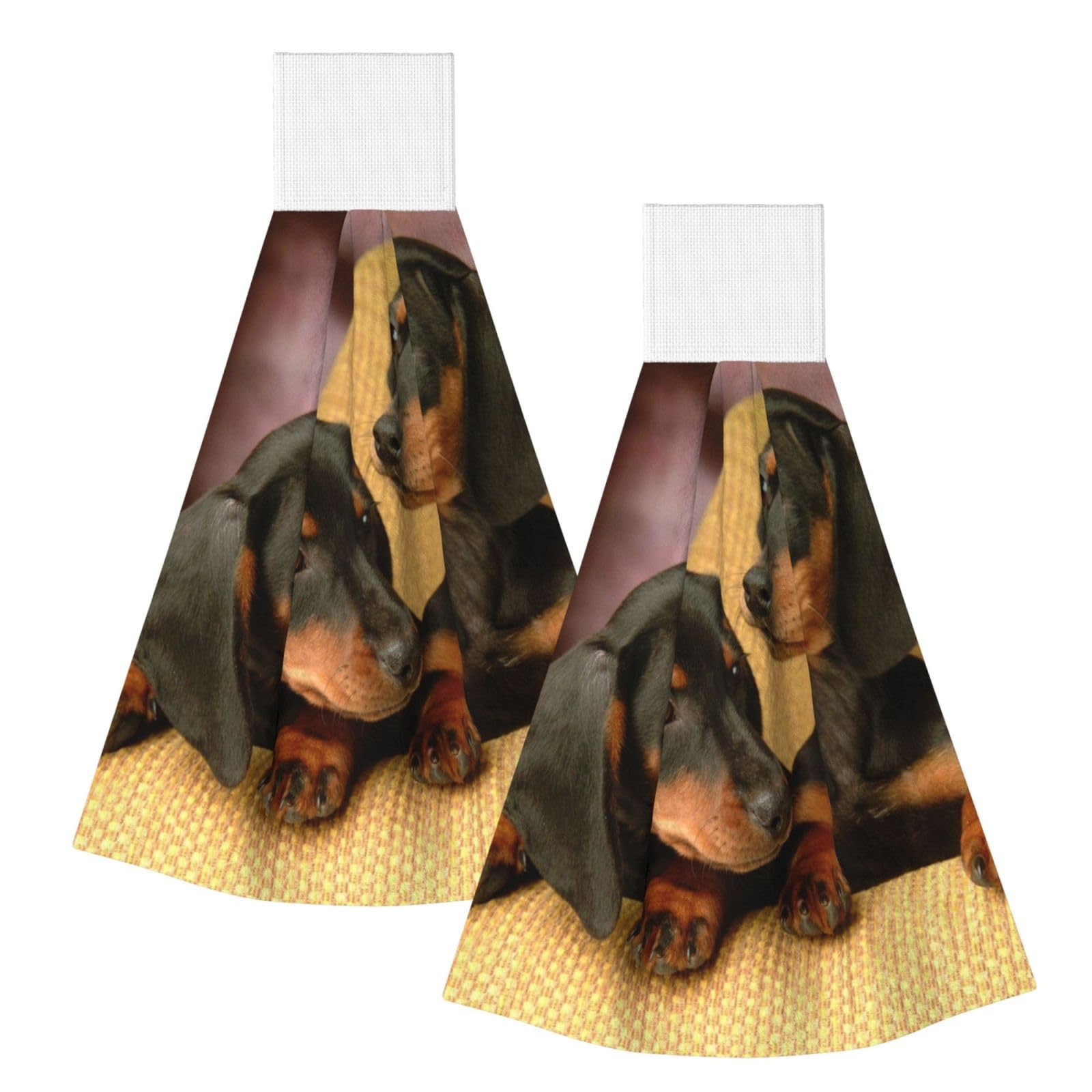 DOPKLNA Dachshund Puppies Pets Dogs Small Dachshund, 2 Pcs Hanging Coral Fiber Hand Towels for Bathroom, Absorbent Kitchen Towels