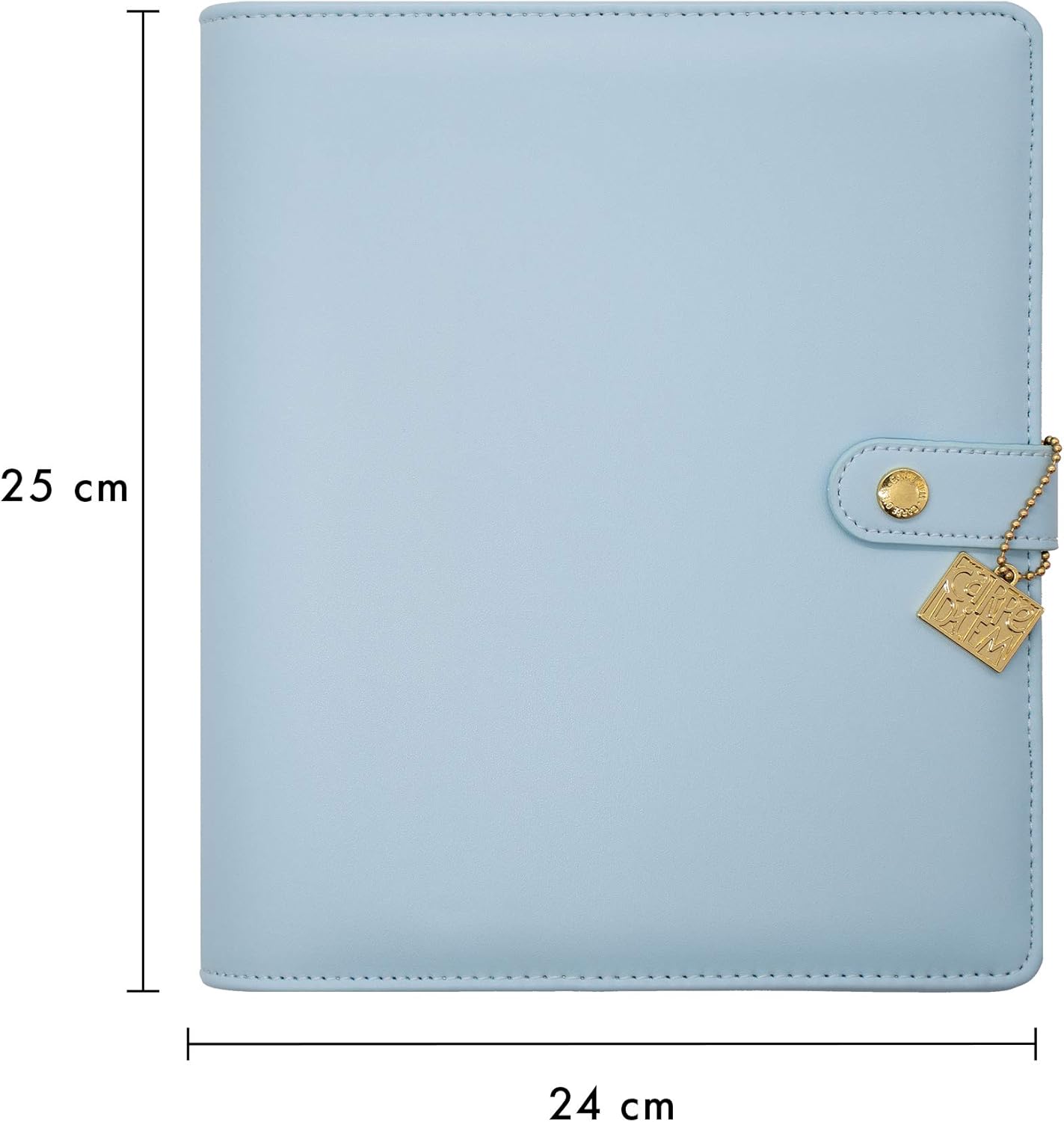 Pukka Pad, Carpe Diem A5 Planner with Weekly, Monthly Undated Inserts, 10 X 9.5 X 2 Inches, Sky Blue
