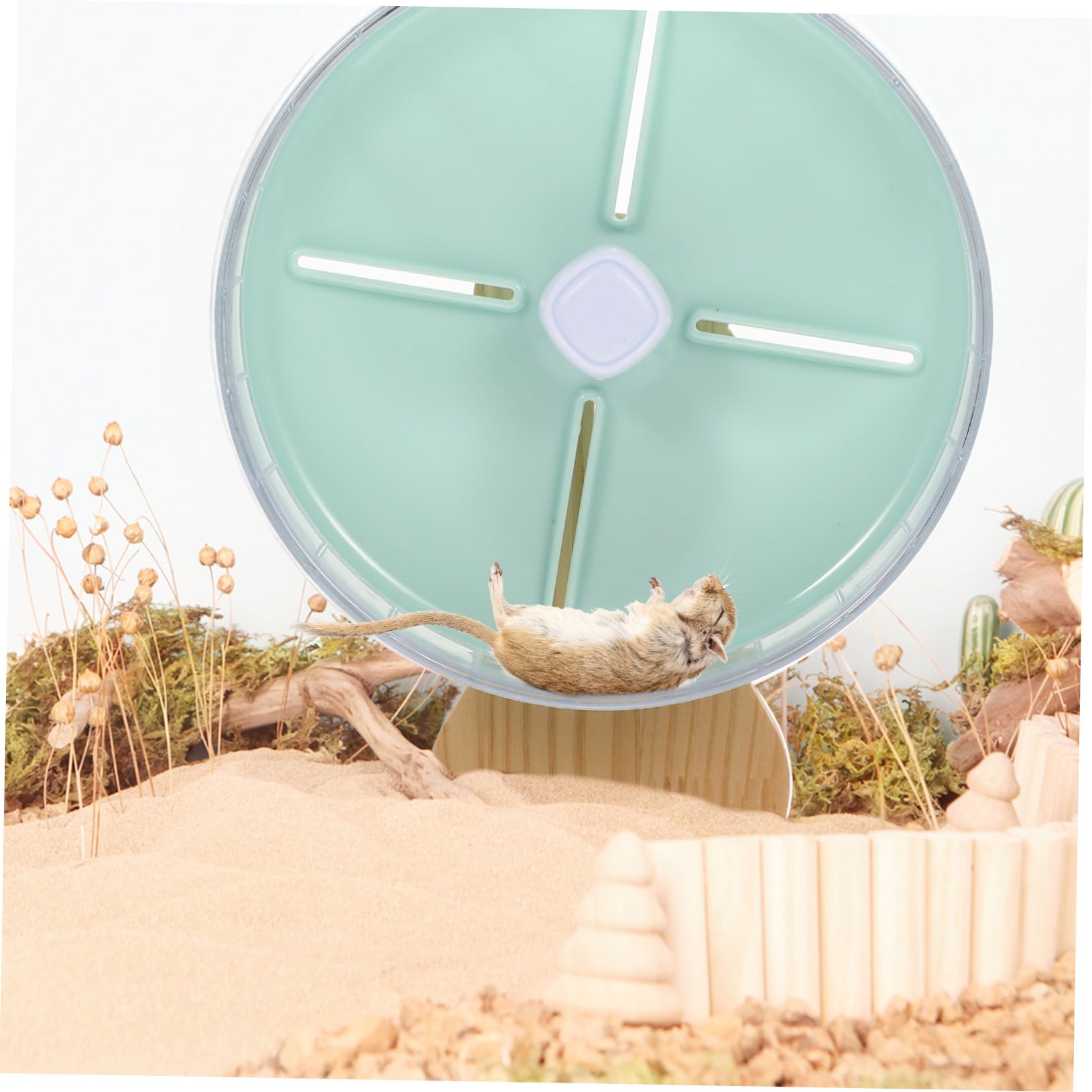 Milisten 1 Ensemble de Roue de Course pour Hamster Jouets pour Hamsters Exercice de Roue de silencieuse Accessoires de Chinchilla de hérisson Stable Abdos Vert