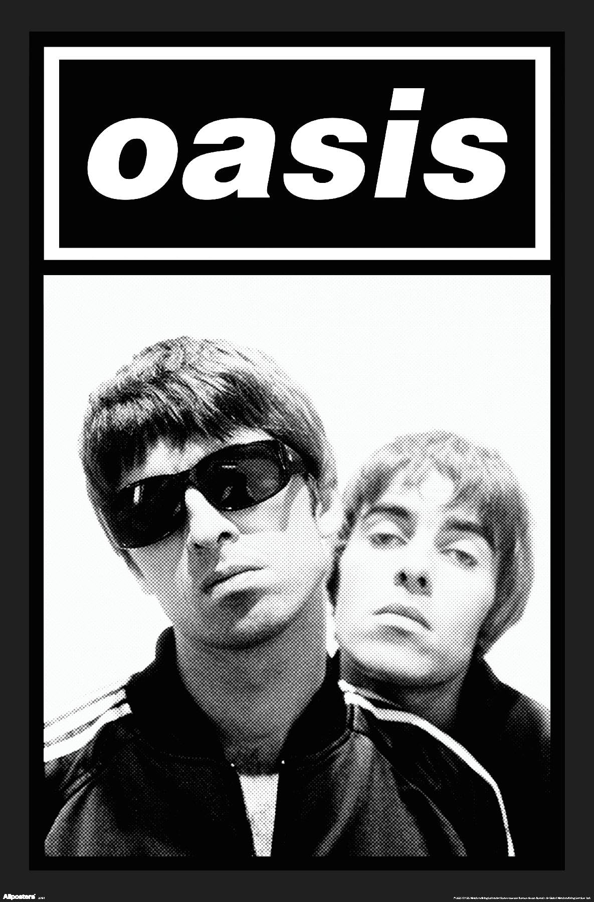 Amazon.co.jp: オアシス - 白黒壁ポスター、長さ22.4インチ x 幅14.7