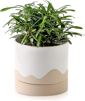 Nihow Ceramic Plant Pot 6 Inch Planter with Drainage Hole & Saucer for Indoor & Outdoor Plants - Cylinder Round Flower Pot for Succulent/Herbs/Violets - White & Nature