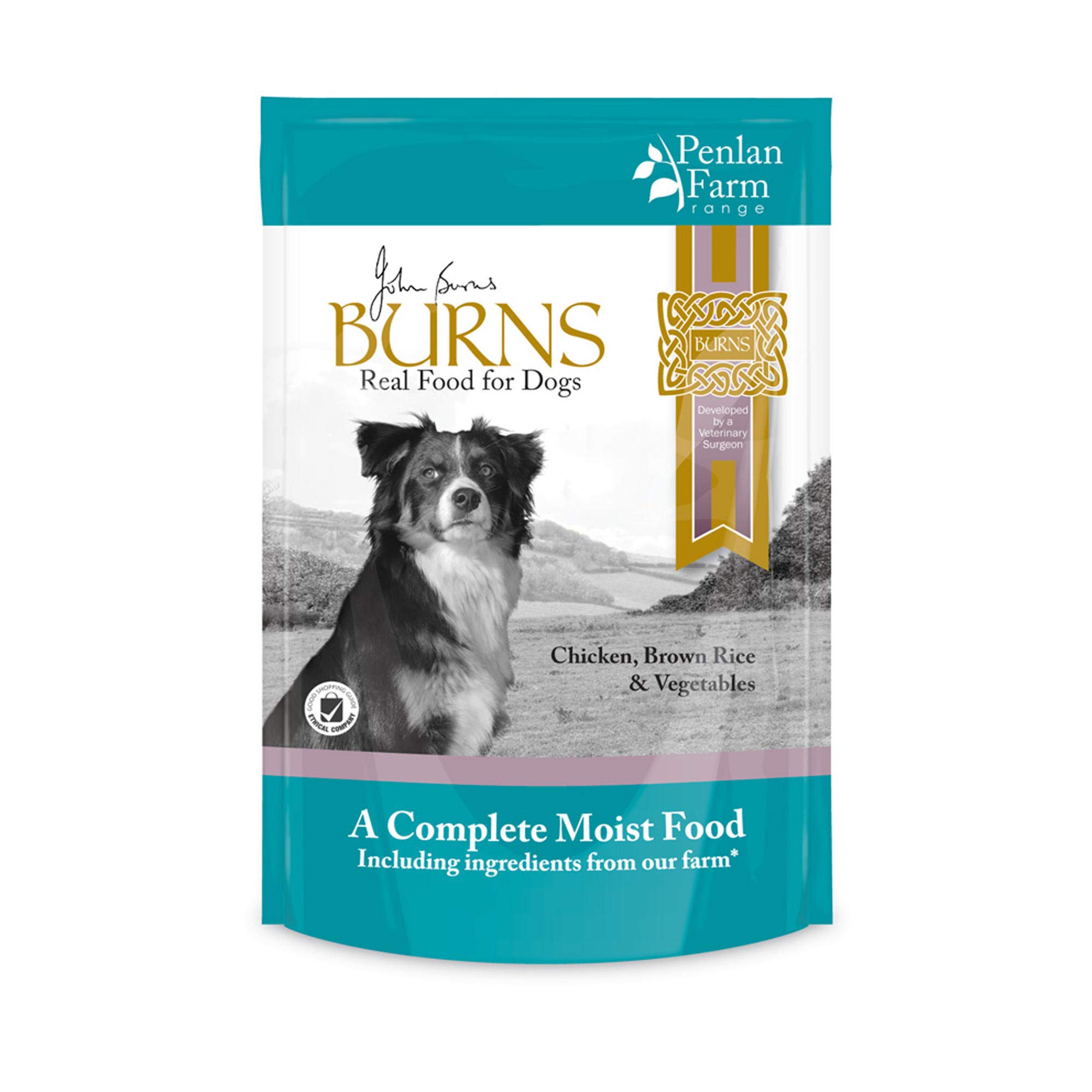 Burns Moist Penlan Chicken/Brown Rice and Vegetables for Dogs, 400 g, Pack of 6