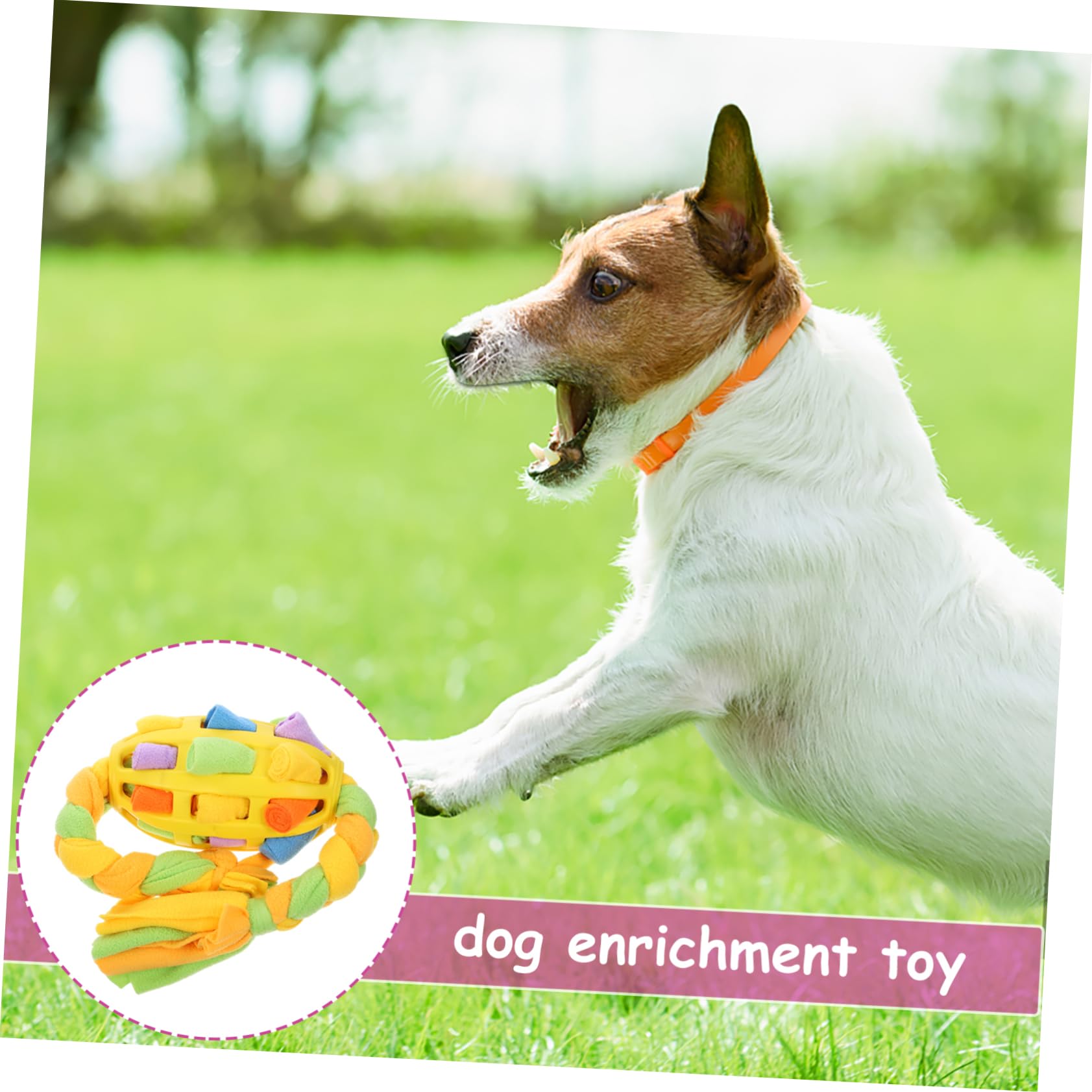 Sosoport 4pezzi Palla Interattiva Per Cani Gioco Stimolante Per Cuccioli Con Dispenser Per Cibo e Attività Di Ricerca Giocattolo Per Arricchimento Mentale Per Cani Riduce La Noia e