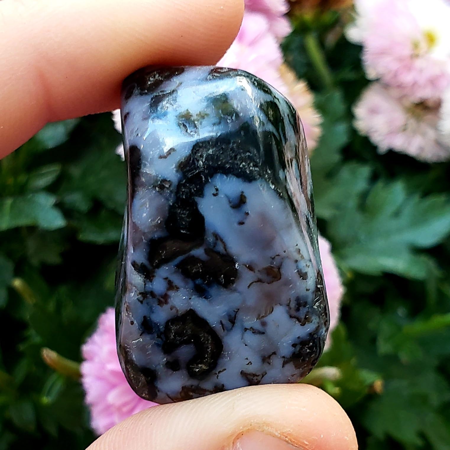 Mystic Merlinite/Indigo Gabbro/Tumbled & Polished/Natural Healing Crystal Gemstone Collectible, Display or Wrapping Specimen Stone - 1pc Large