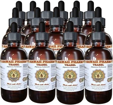 Teasel Dipsacus fullonum Liquid Extract 15x4 fl.oz