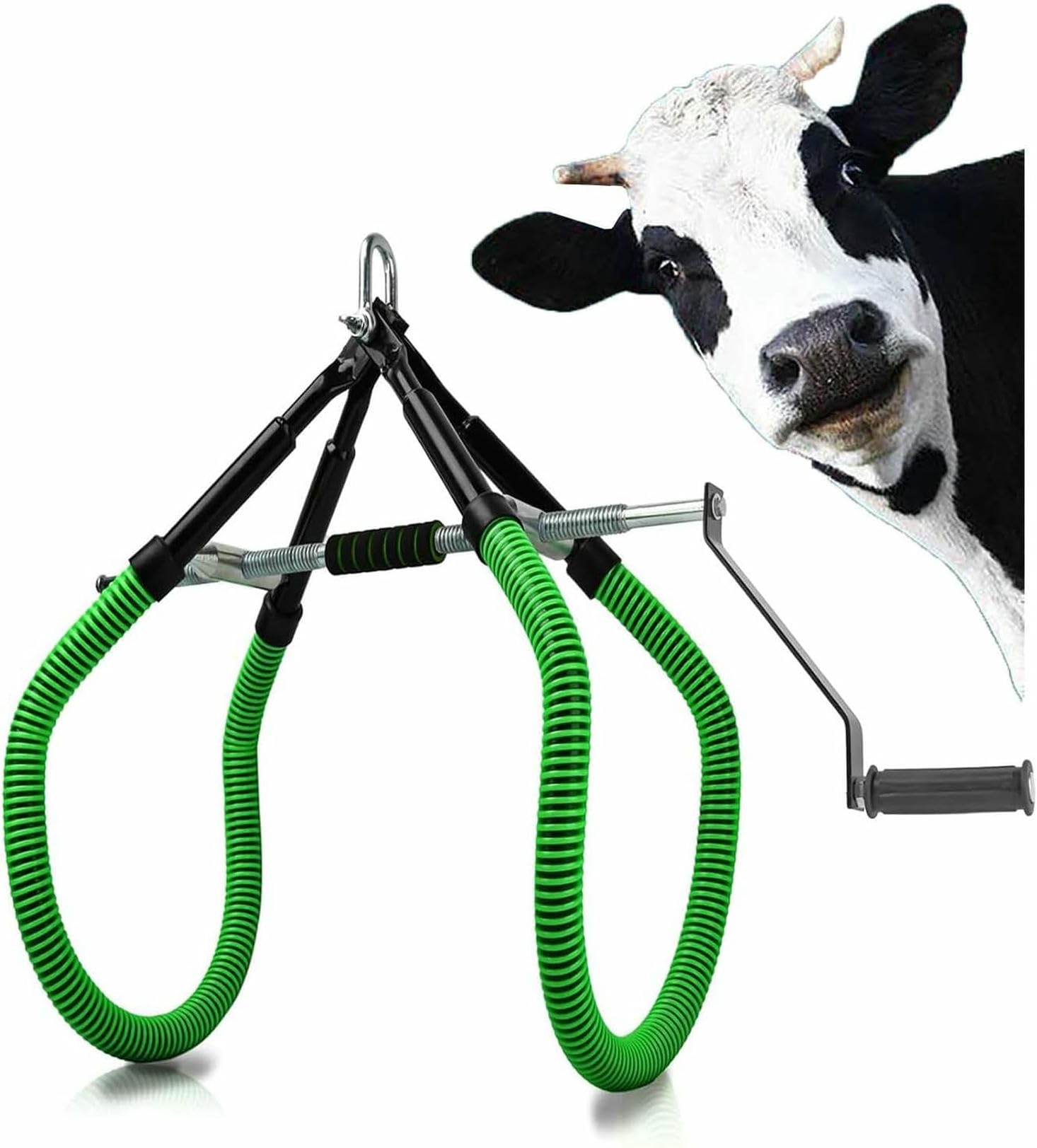 Sollevamento regolabile dell'anca della mucca, morsetto di sollevamento del bestiame in acciaio, strumento di assistenza in piedi per distocia post-parto, supporto per la mucca febbre tifoide grave